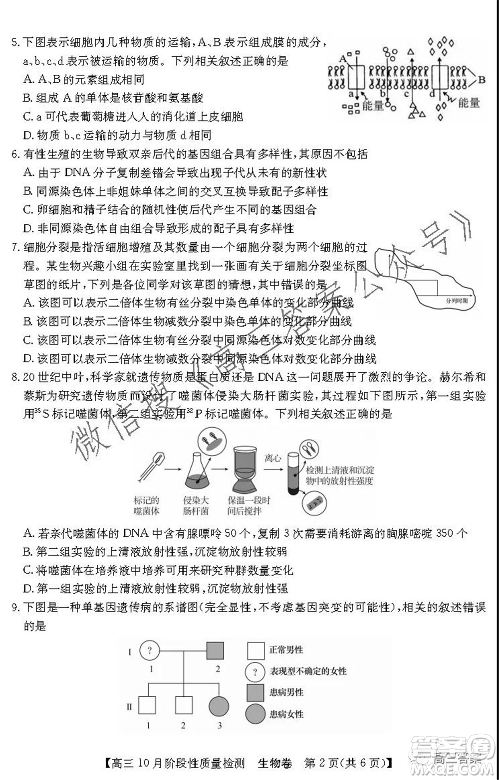 廣東省普通高中2022屆高三10月階段性質量檢測生物試題及答案