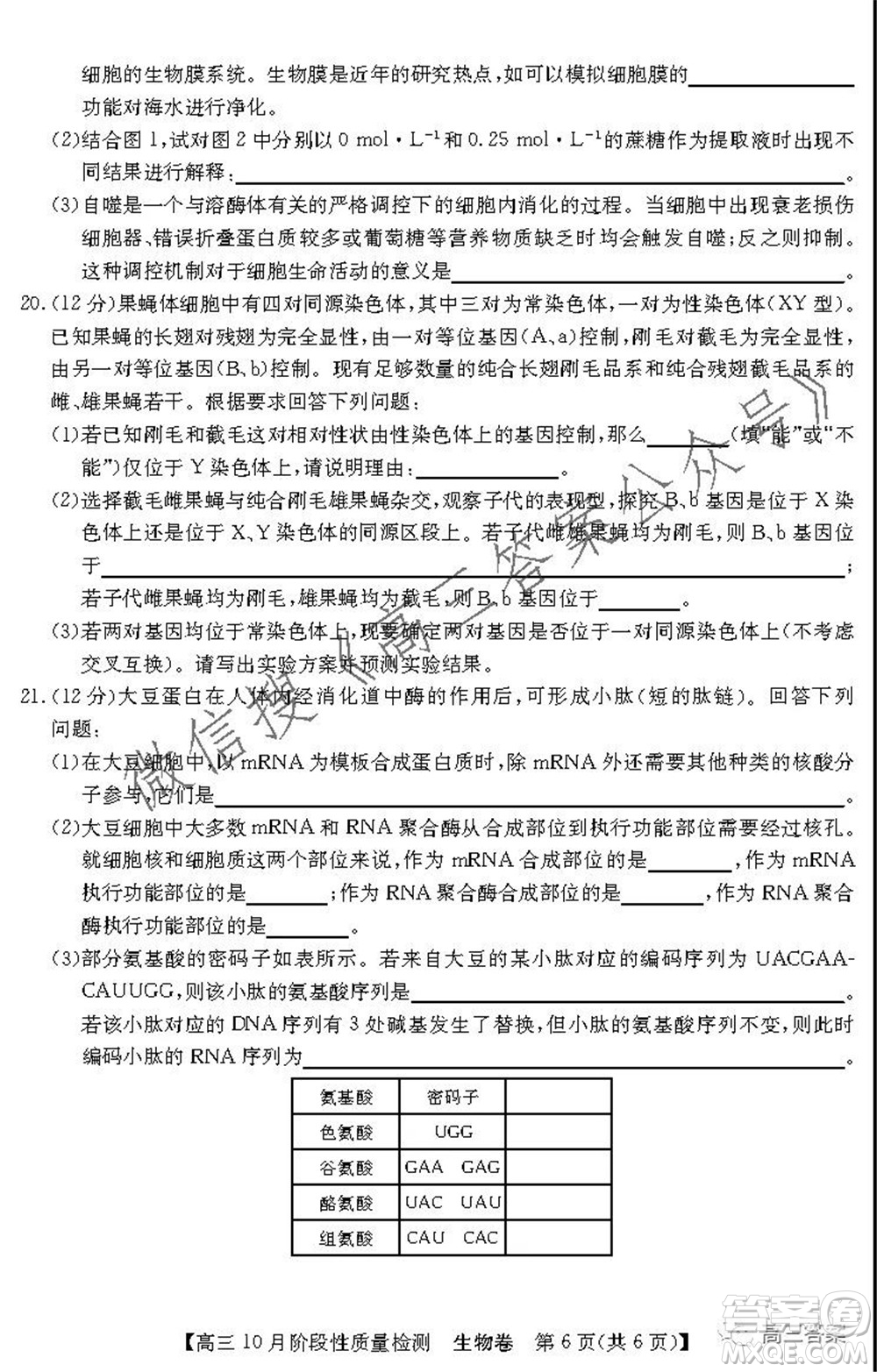 廣東省普通高中2022屆高三10月階段性質量檢測生物試題及答案