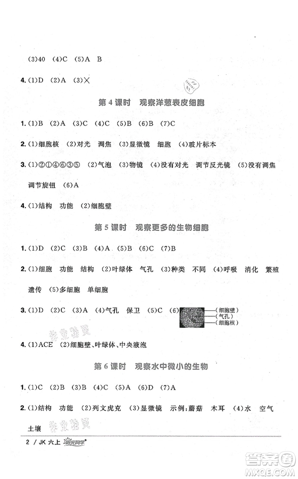 江西教育出版社2021陽(yáng)光同學(xué)課時(shí)優(yōu)化作業(yè)六年級(jí)科學(xué)上冊(cè)JK教科版答案