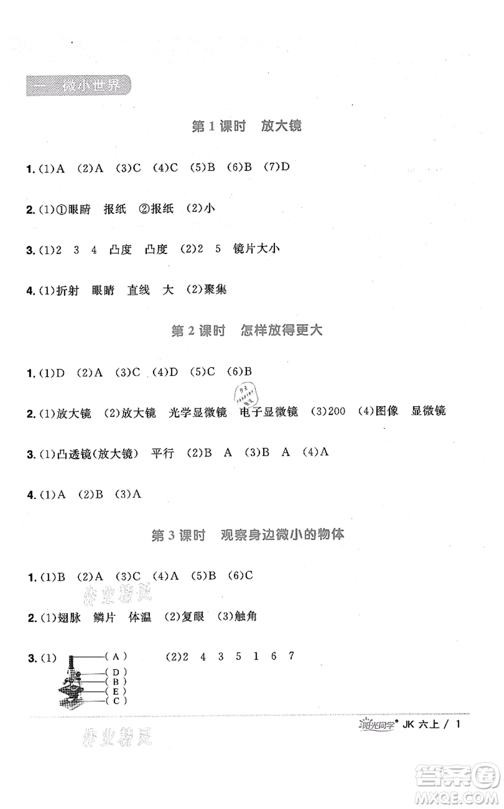 江西教育出版社2021陽(yáng)光同學(xué)課時(shí)優(yōu)化作業(yè)六年級(jí)科學(xué)上冊(cè)JK教科版答案