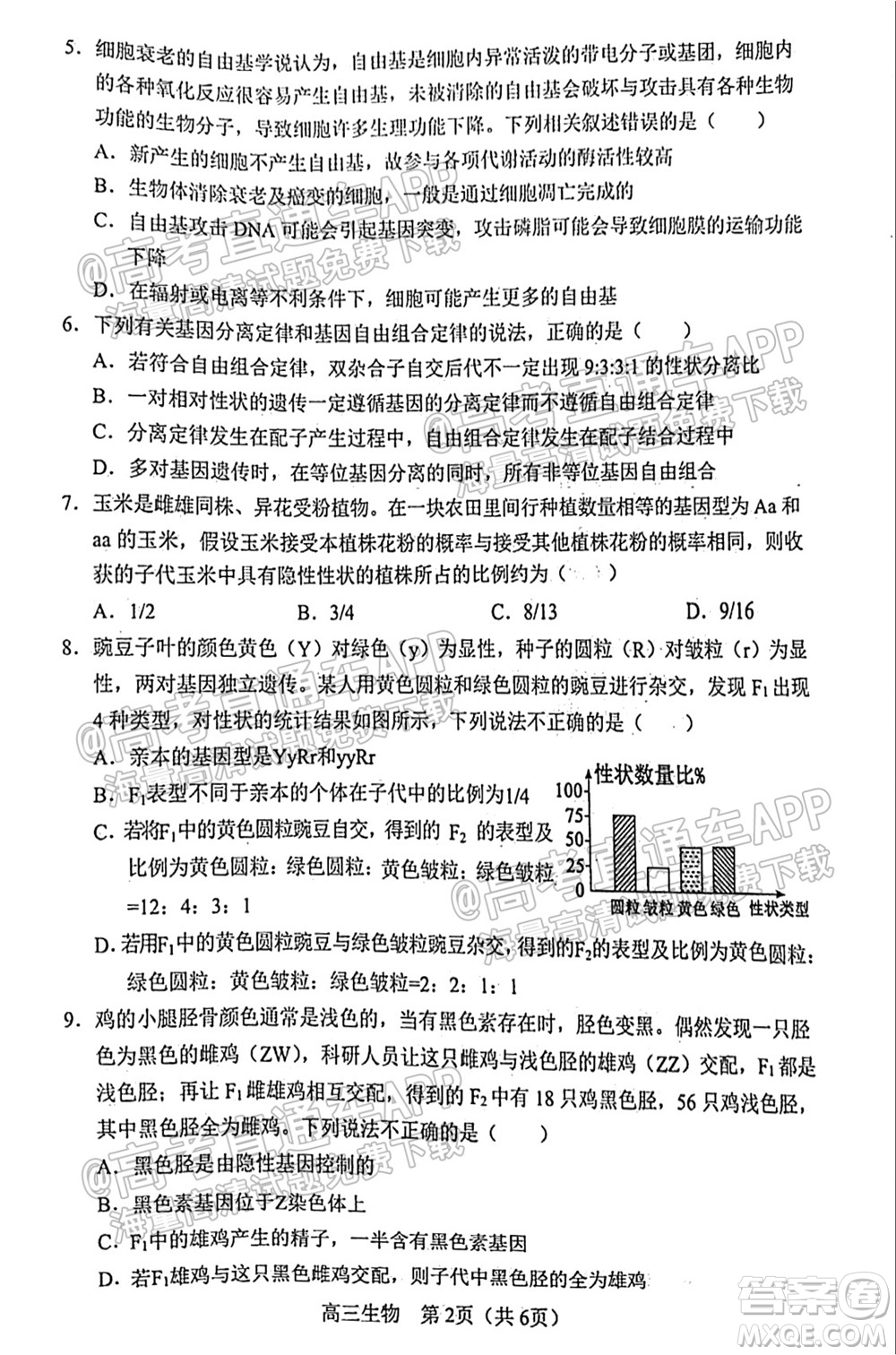 2021-2022學(xué)年度上學(xué)期沈陽市郊聯(lián)體高三10月月考生物試題及答案
