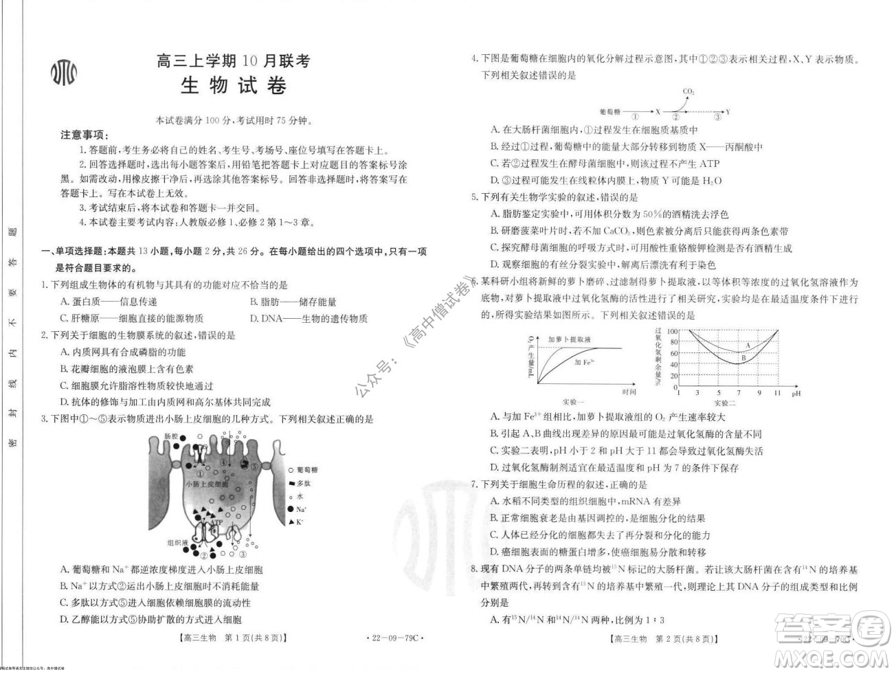 2022屆河北邢臺(tái)金太陽(yáng)聯(lián)考高三上期10月聯(lián)考生物試卷及答案