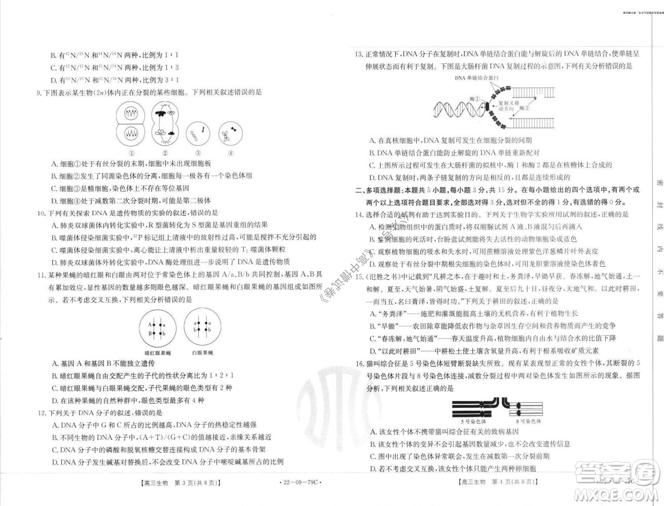 2022屆河北邢臺(tái)金太陽(yáng)聯(lián)考高三上期10月聯(lián)考生物試卷及答案