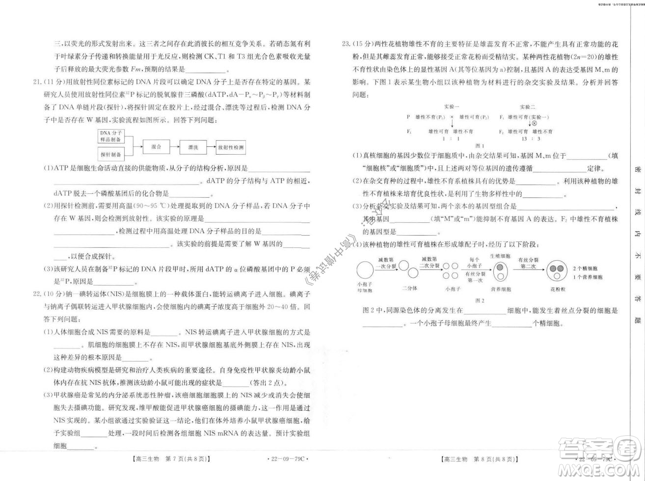 2022屆河北邢臺(tái)金太陽(yáng)聯(lián)考高三上期10月聯(lián)考生物試卷及答案