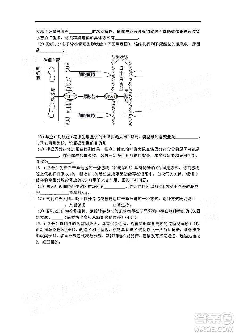 深圳市第七高級中學2022屆高三第一次月考試題生物答案