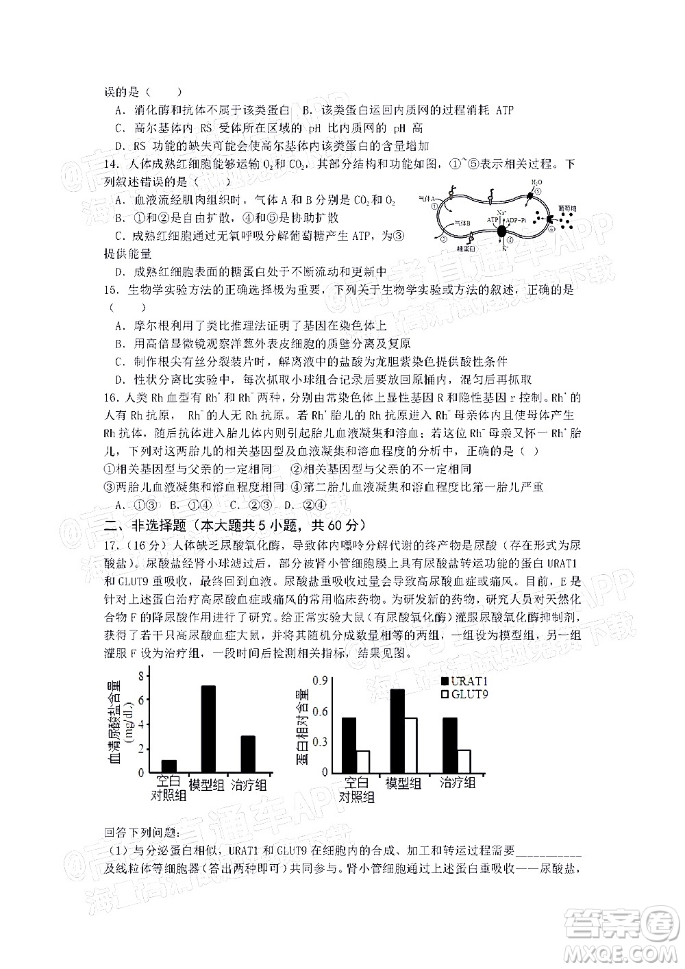 深圳市第七高級中學2022屆高三第一次月考試題生物答案