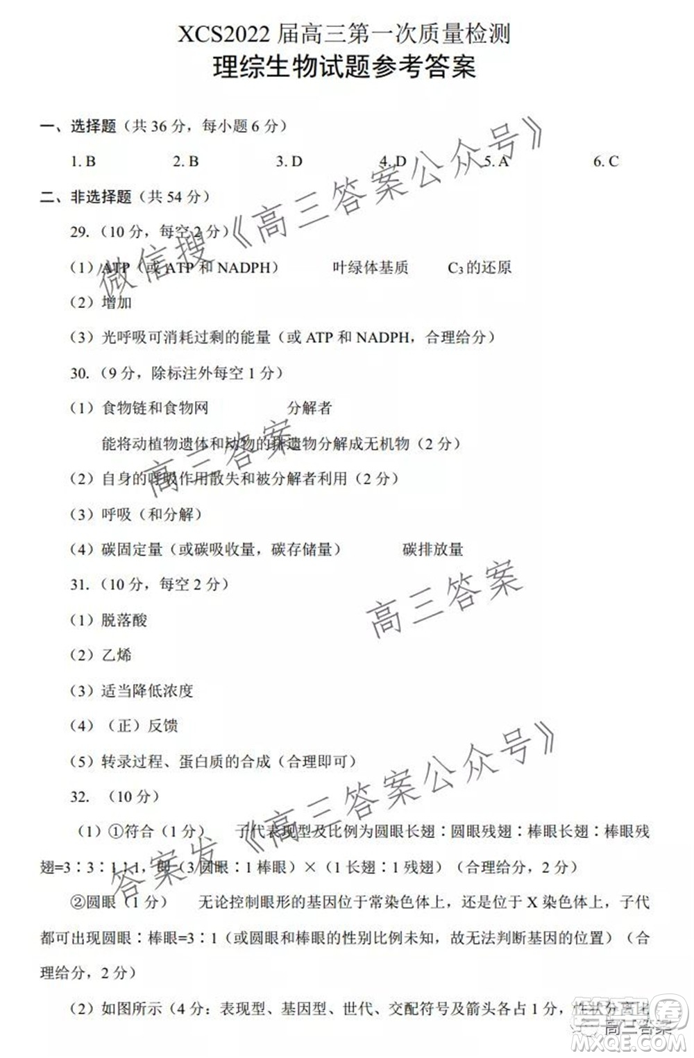 XCS2022屆高三年級第一次質(zhì)量檢測試卷理科綜合試題及答案