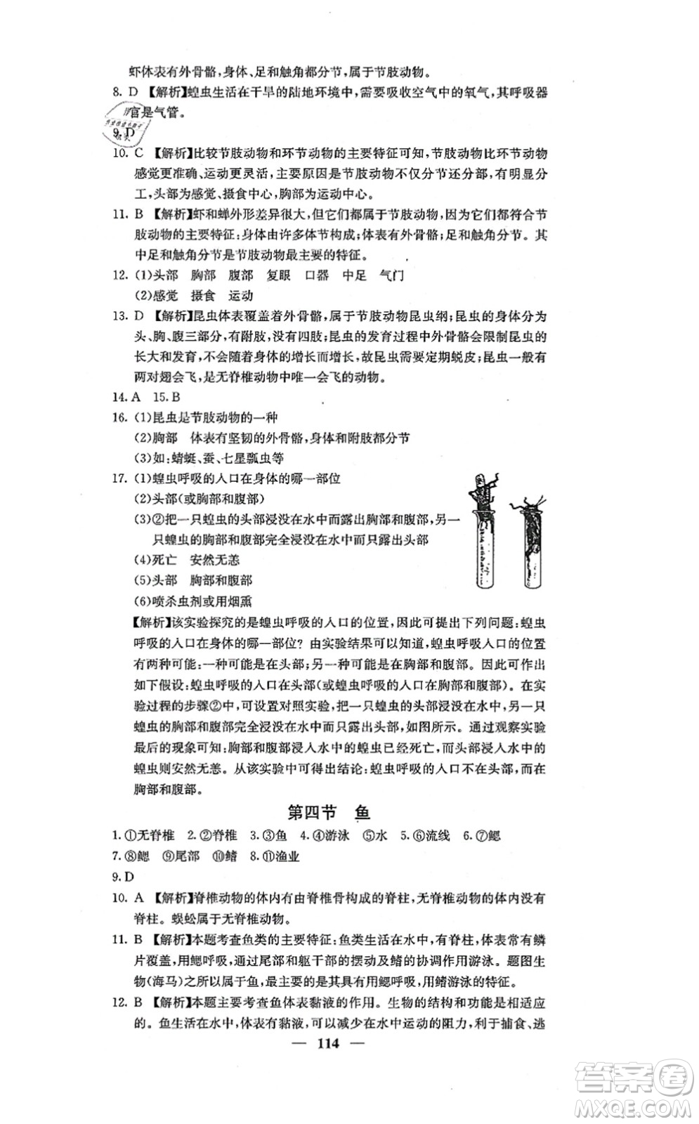 四川大學(xué)出版社2021課堂點(diǎn)睛八年級(jí)生物上冊人教版答案