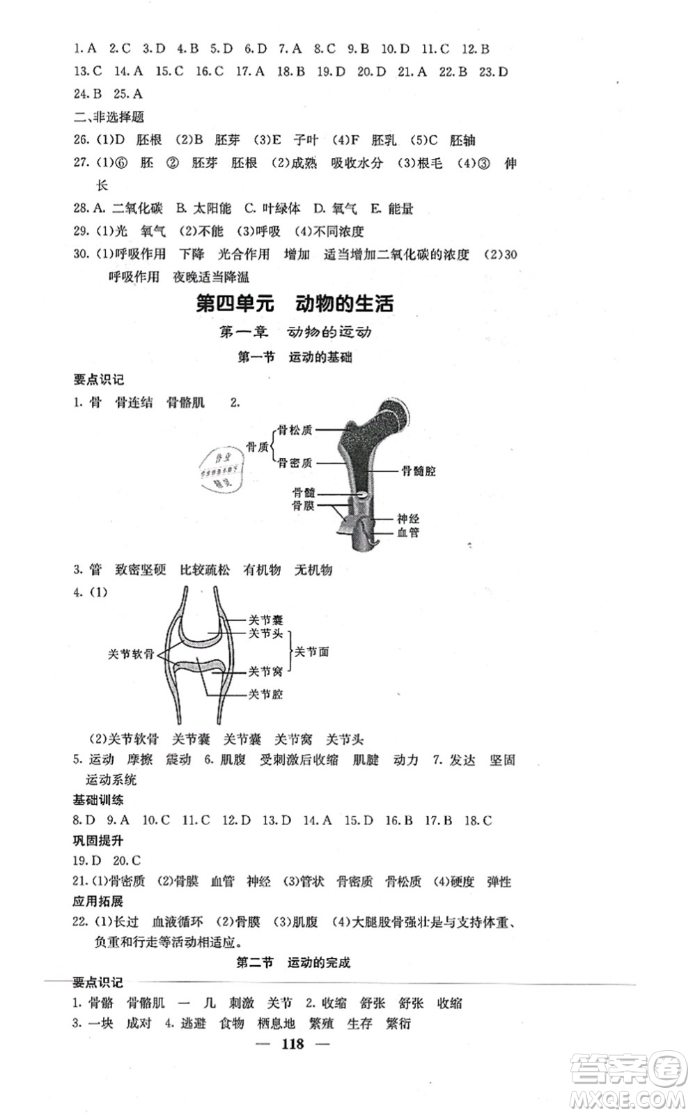 四川大學出版社2021課堂點睛八年級生物上冊冀少版答案