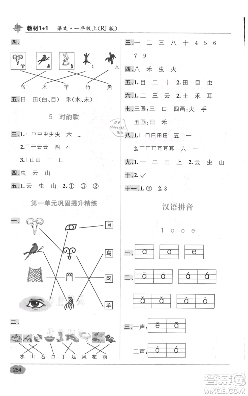 新疆青少年出版社2021教材1+1全解精練一年級(jí)上冊(cè)語(yǔ)文人教版參考答案