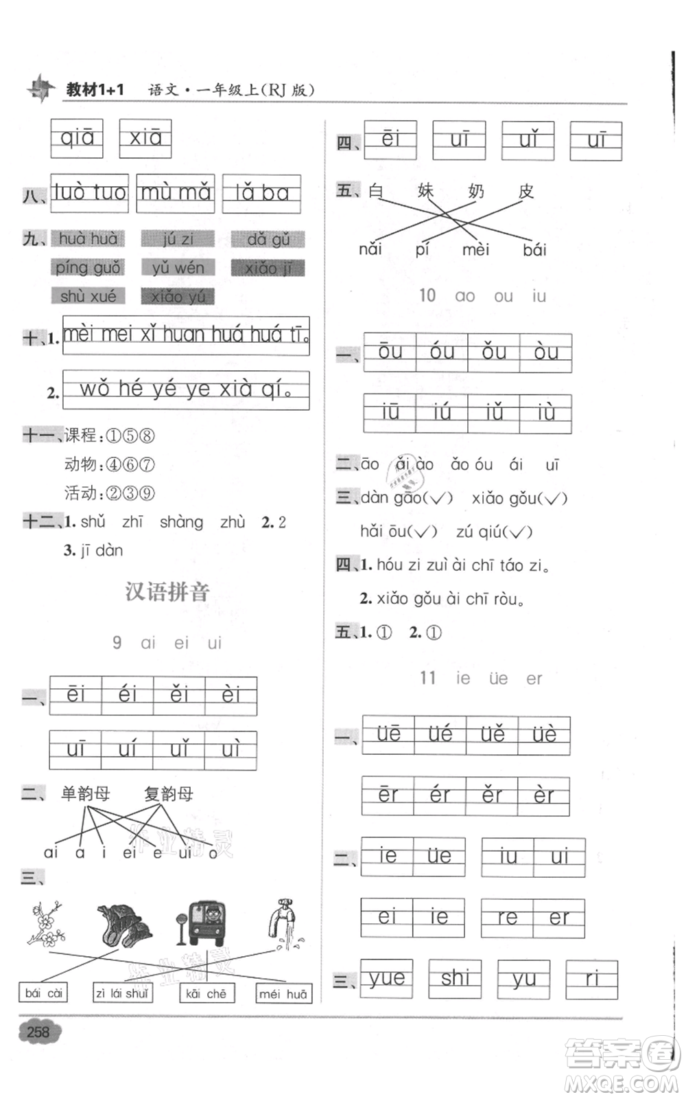 新疆青少年出版社2021教材1+1全解精練一年級(jí)上冊(cè)語(yǔ)文人教版參考答案