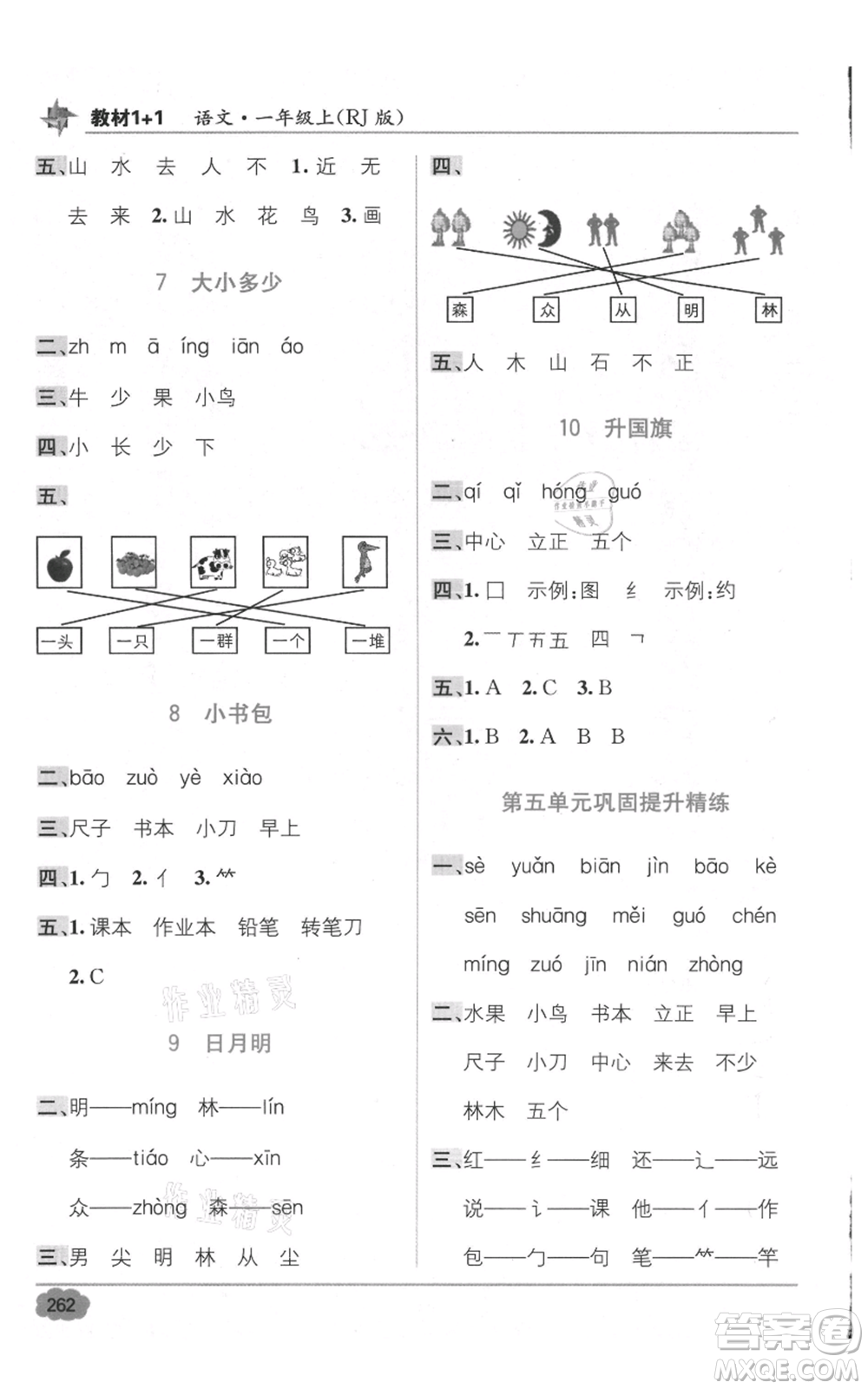 新疆青少年出版社2021教材1+1全解精練一年級(jí)上冊(cè)語(yǔ)文人教版參考答案