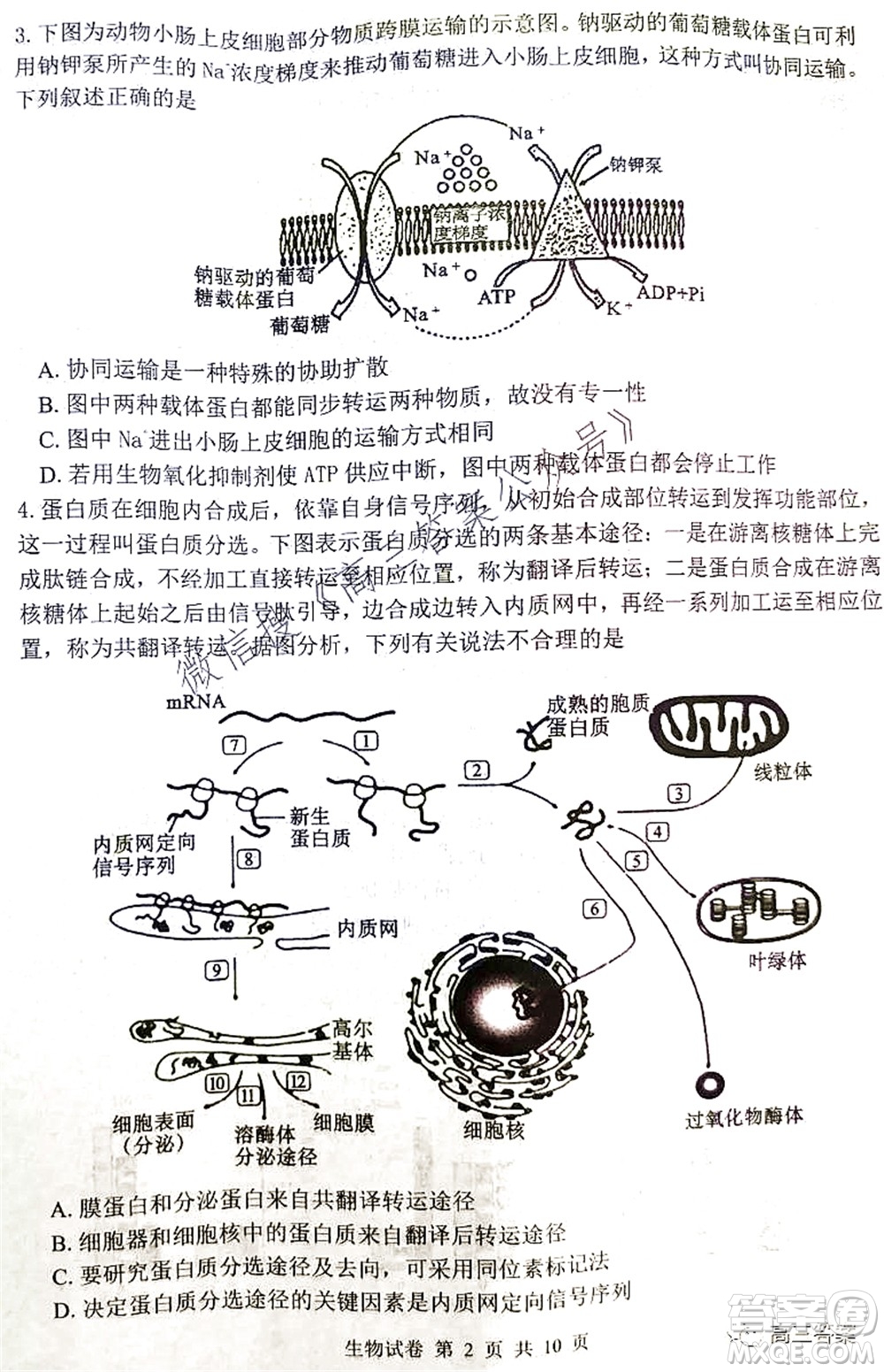 騰云聯(lián)盟2021-2022學年度上學期高三10月聯(lián)考生物學試題及答案