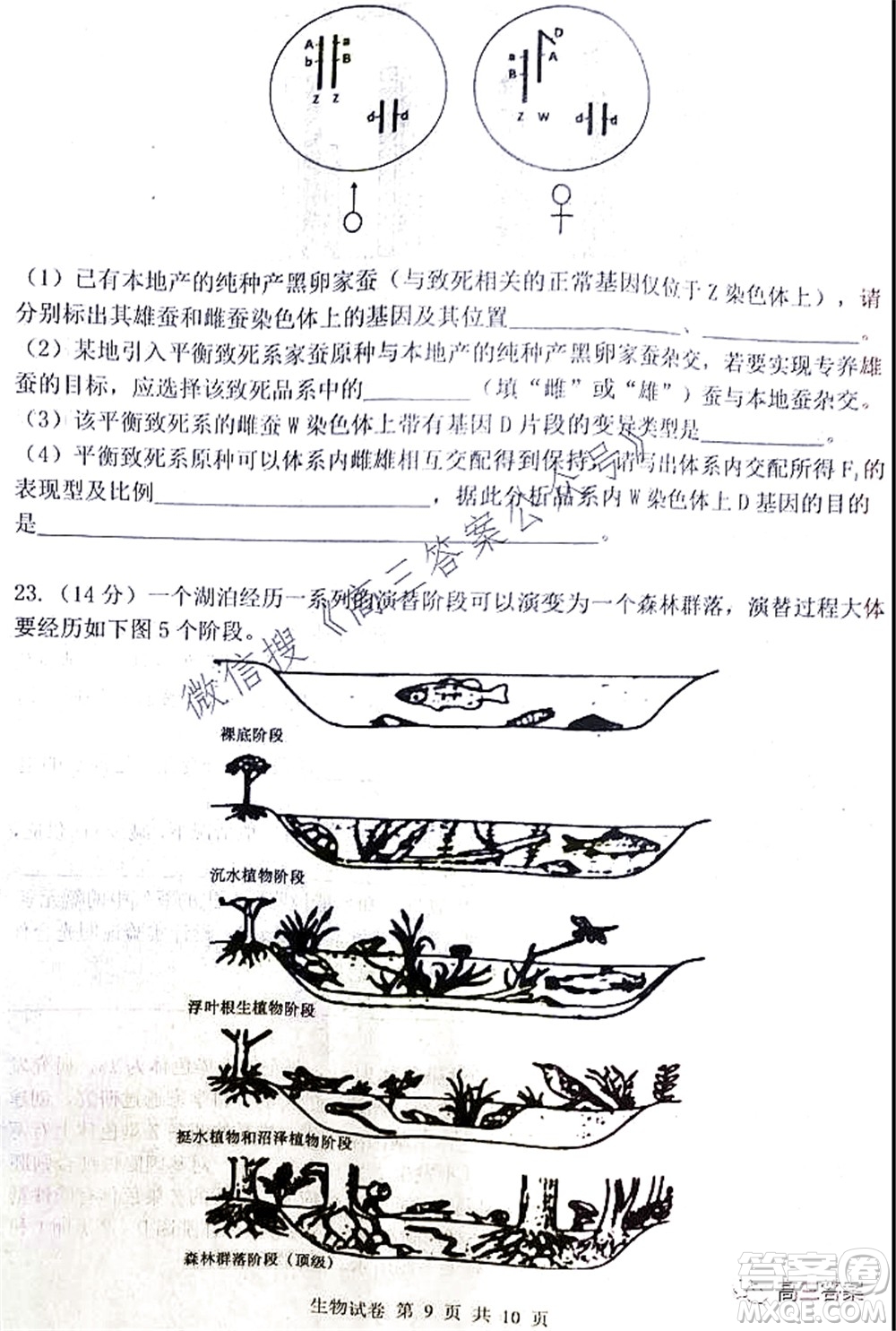 騰云聯(lián)盟2021-2022學年度上學期高三10月聯(lián)考生物學試題及答案