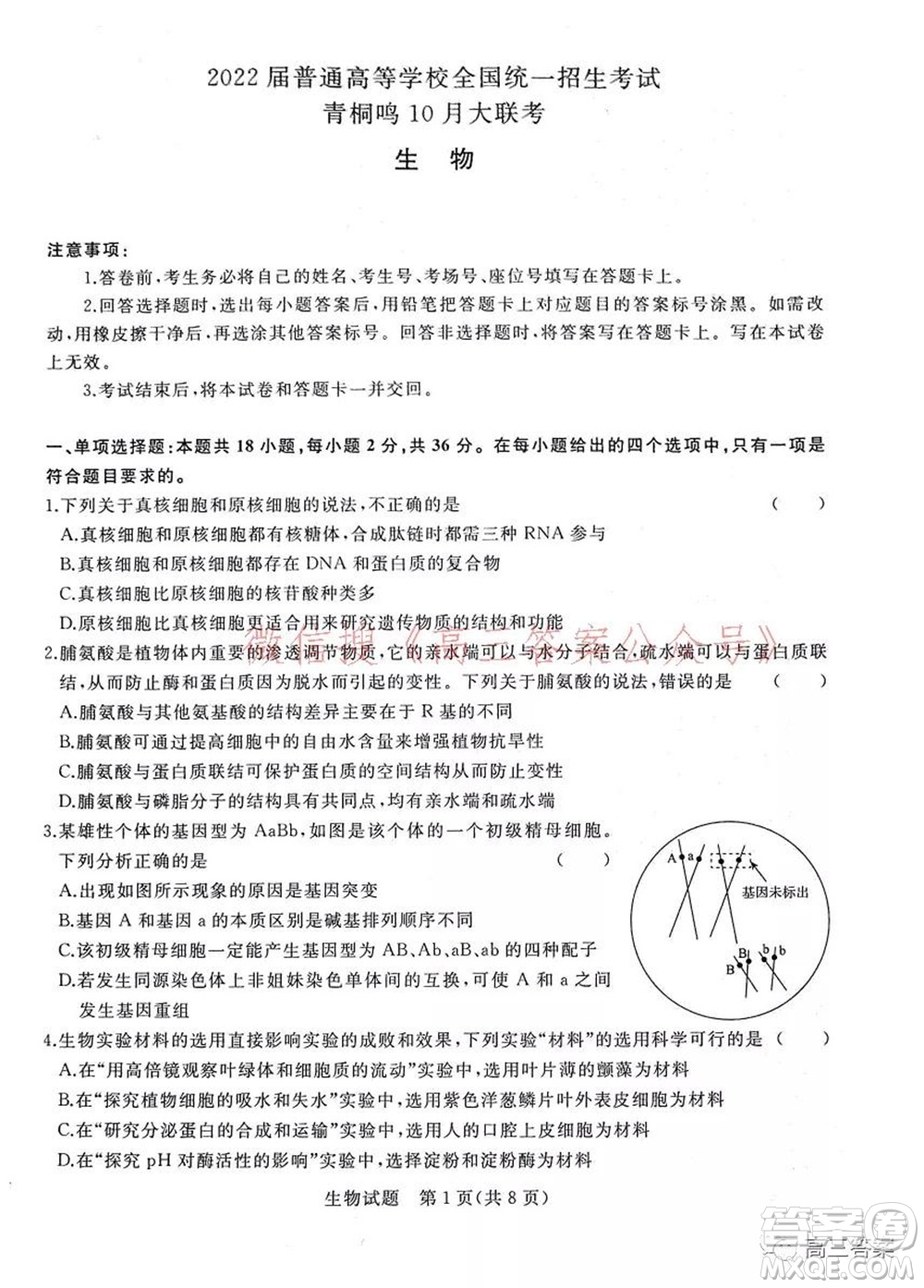 2022屆普通高等學校全國統(tǒng)一招生考試青桐鳴10月大聯(lián)考生物試題及答案