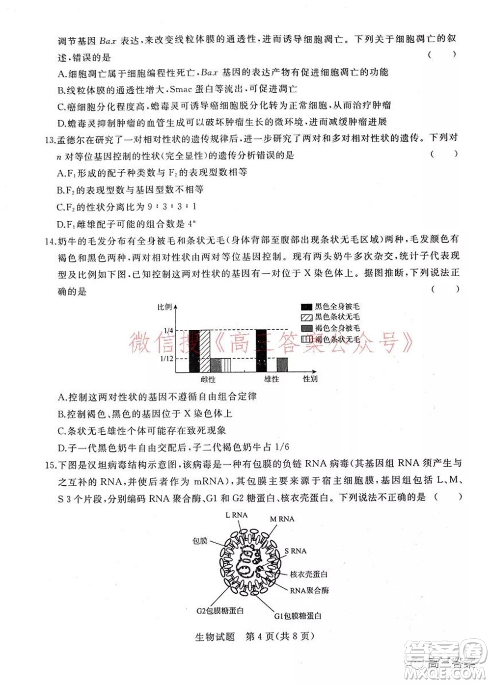 2022屆普通高等學校全國統(tǒng)一招生考試青桐鳴10月大聯(lián)考生物試題及答案