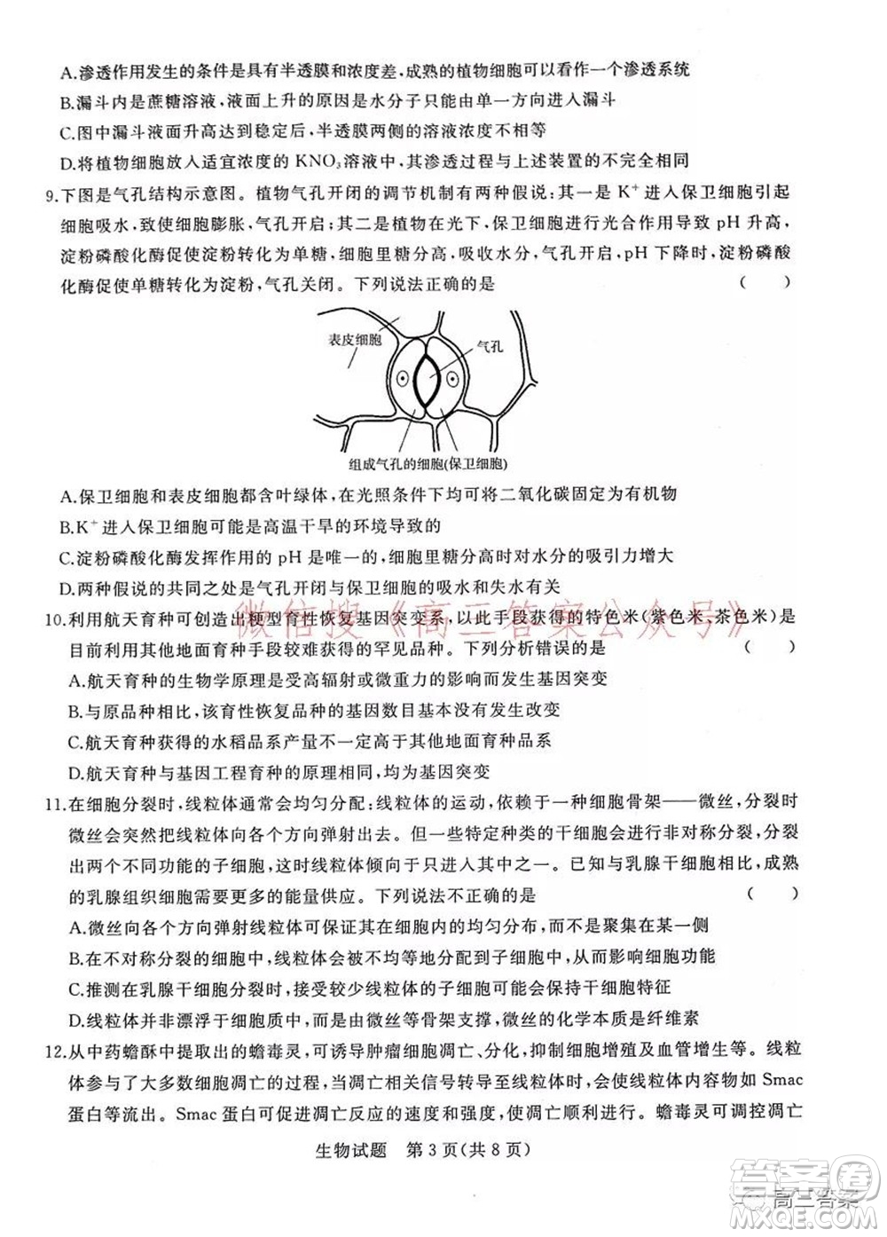 2022屆普通高等學校全國統(tǒng)一招生考試青桐鳴10月大聯(lián)考生物試題及答案