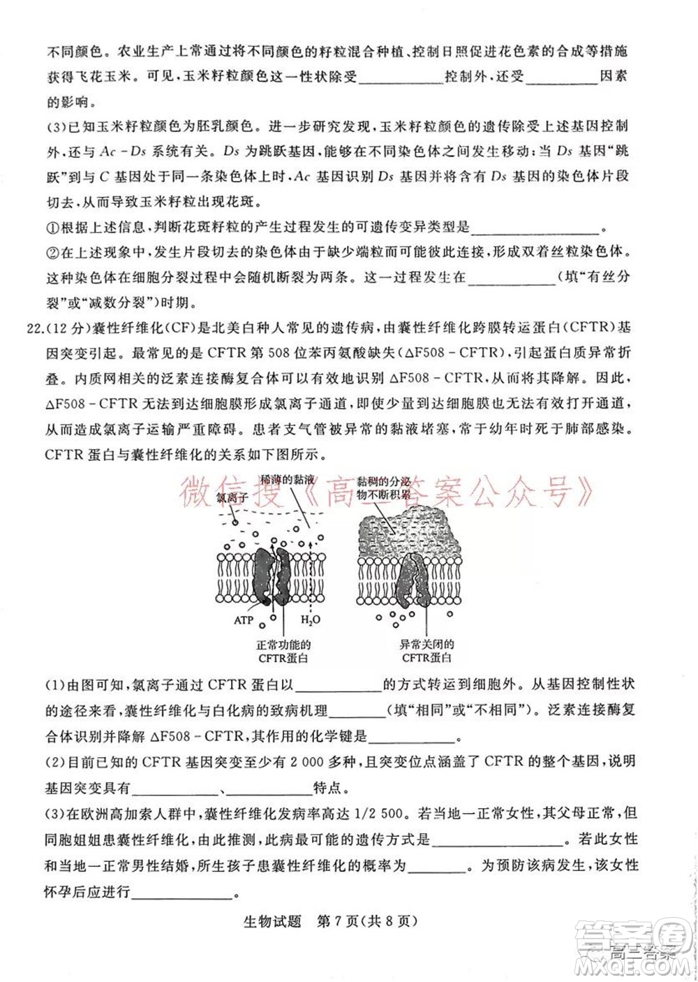 2022屆普通高等學校全國統(tǒng)一招生考試青桐鳴10月大聯(lián)考生物試題及答案