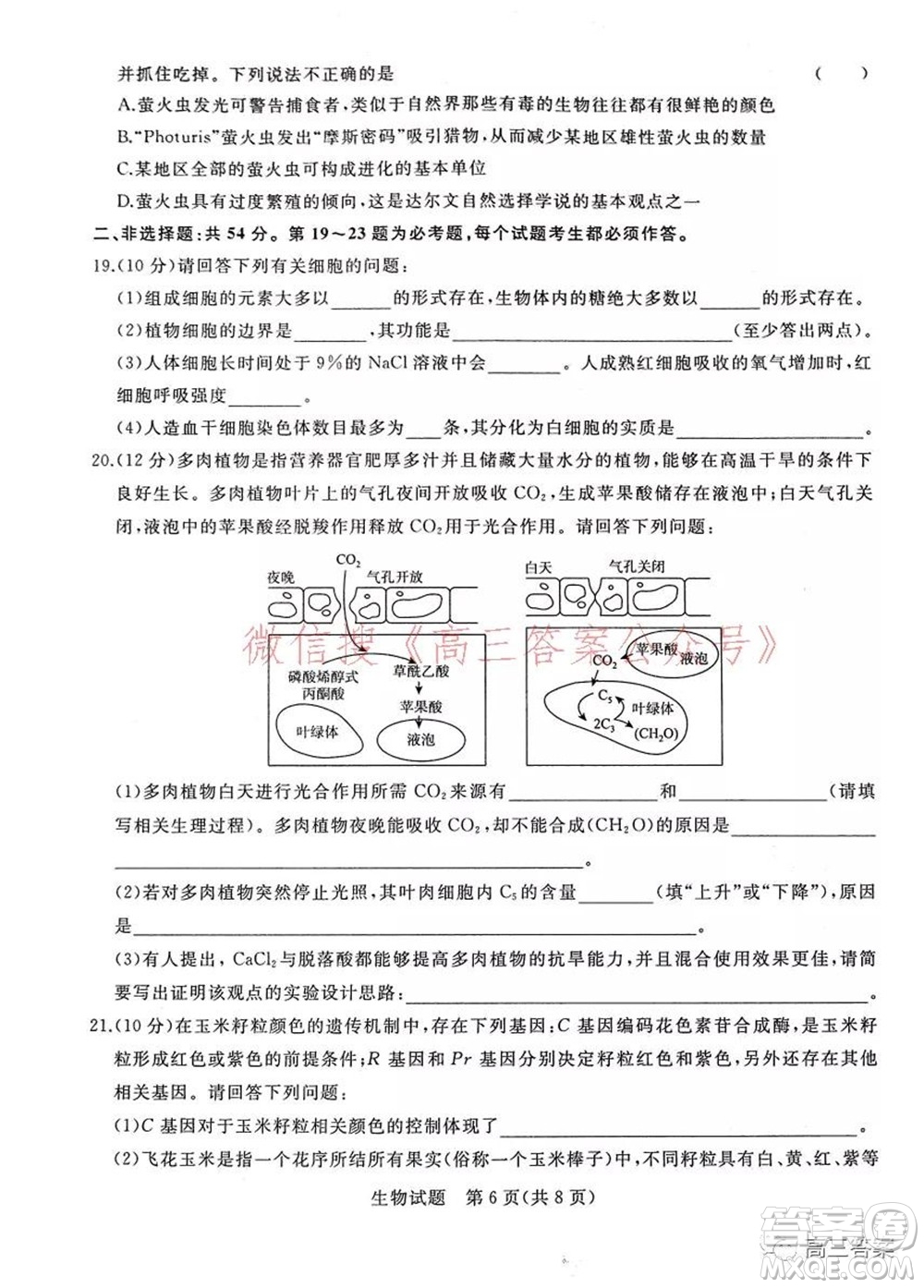 2022屆普通高等學校全國統(tǒng)一招生考試青桐鳴10月大聯(lián)考生物試題及答案
