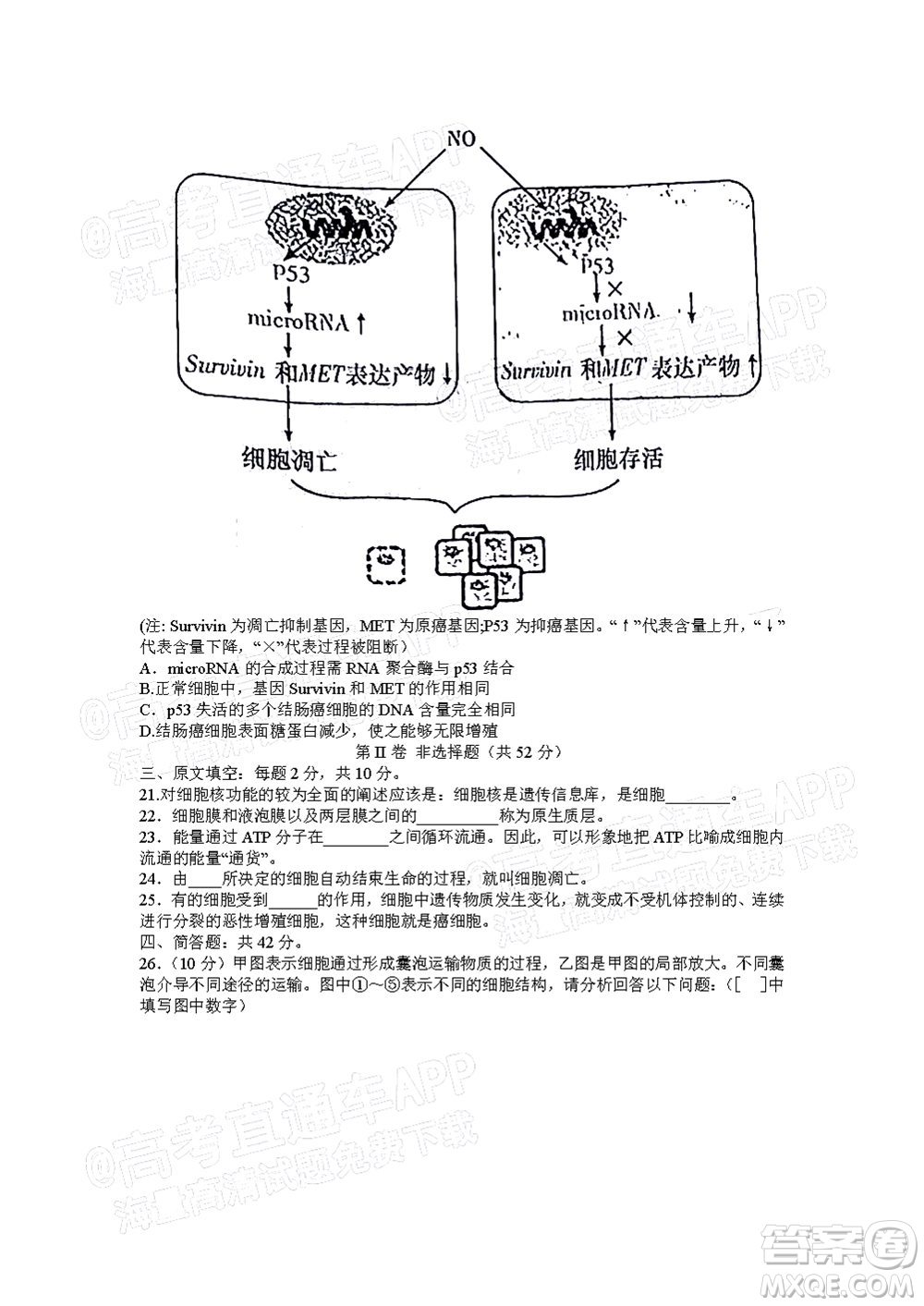 湖南名校聯(lián)考聯(lián)合體2021年高三10月聯(lián)考生物試題及答案