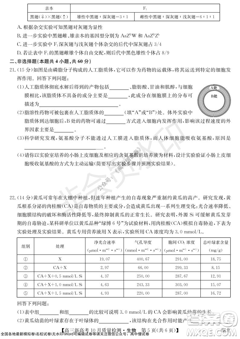 2022屆九師聯(lián)盟高三新高考10月質量檢測生物試題及答案