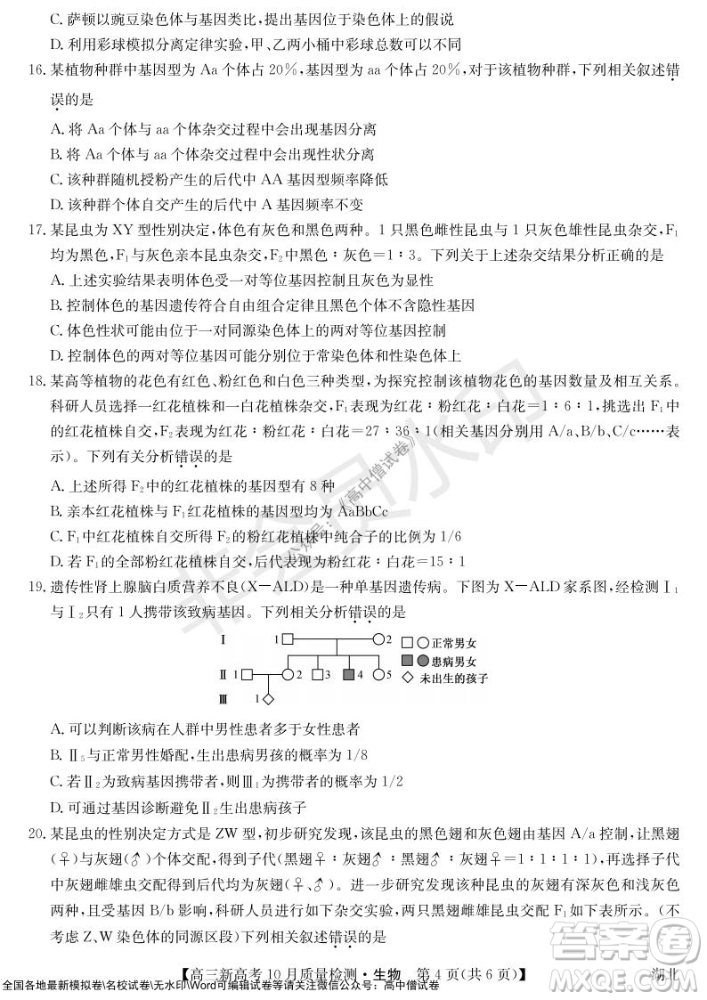 2022屆九師聯(lián)盟高三新高考10月質量檢測生物試題及答案