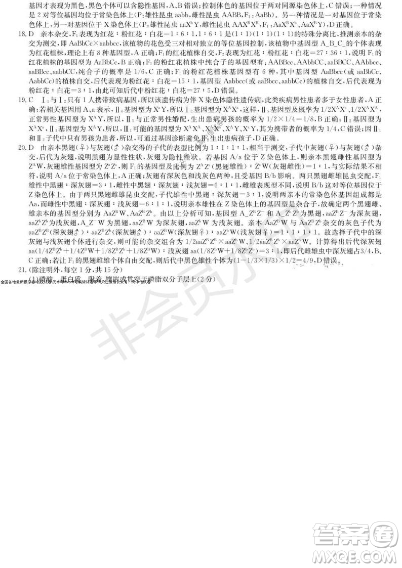 2022屆九師聯(lián)盟高三新高考10月質量檢測生物試題及答案