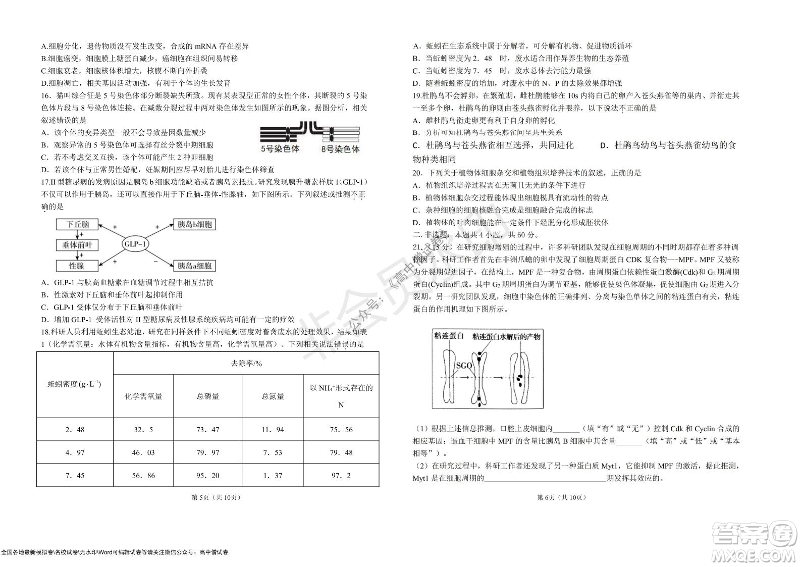 湖北省部分重點(diǎn)中學(xué)2022屆高三10月聯(lián)考生物試題及答案