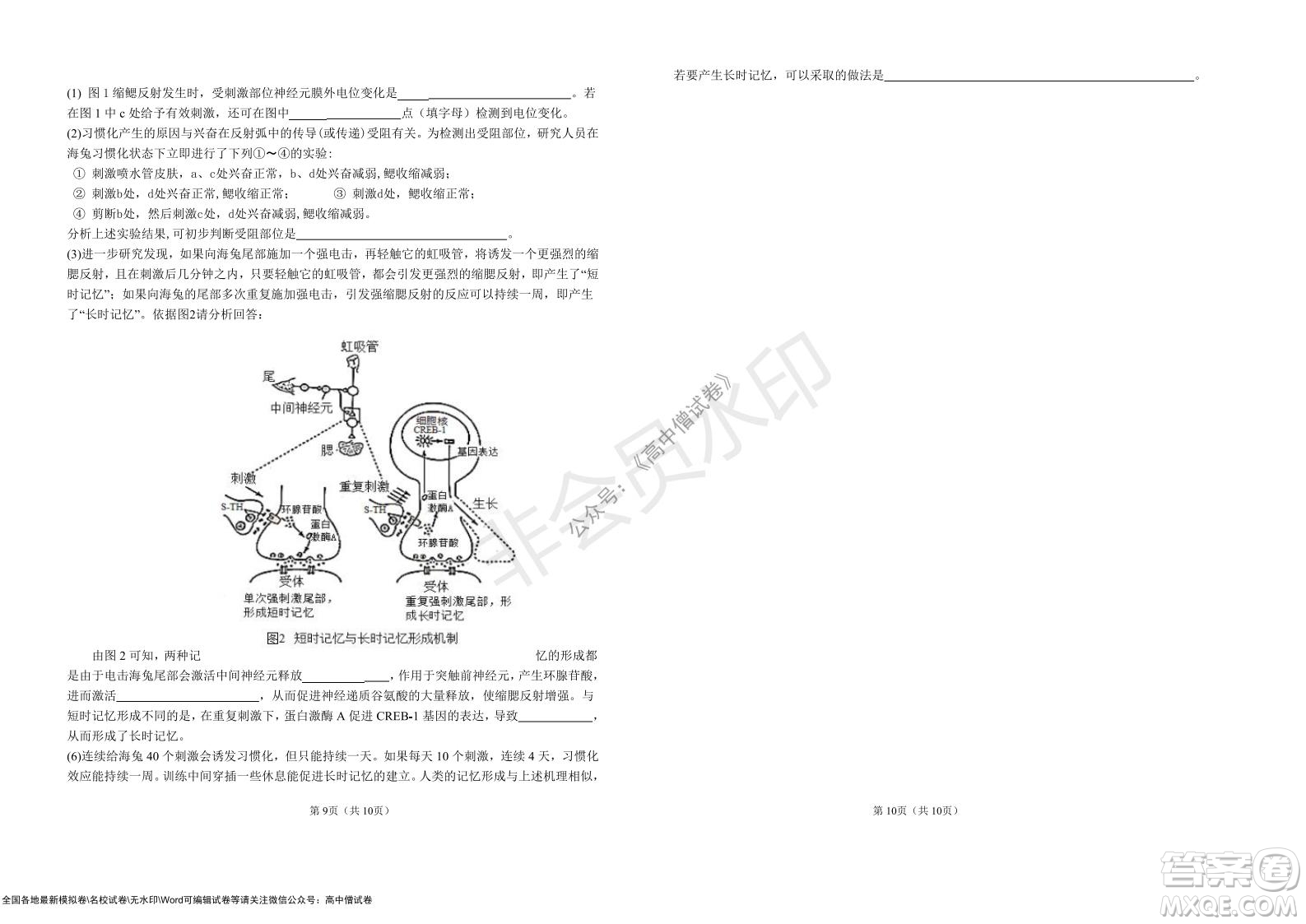 湖北省部分重點(diǎn)中學(xué)2022屆高三10月聯(lián)考生物試題及答案