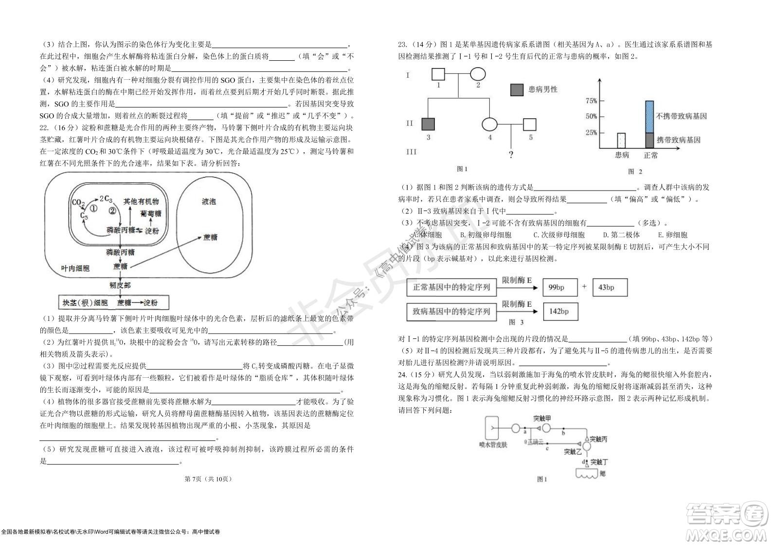 湖北省部分重點(diǎn)中學(xué)2022屆高三10月聯(lián)考生物試題及答案
