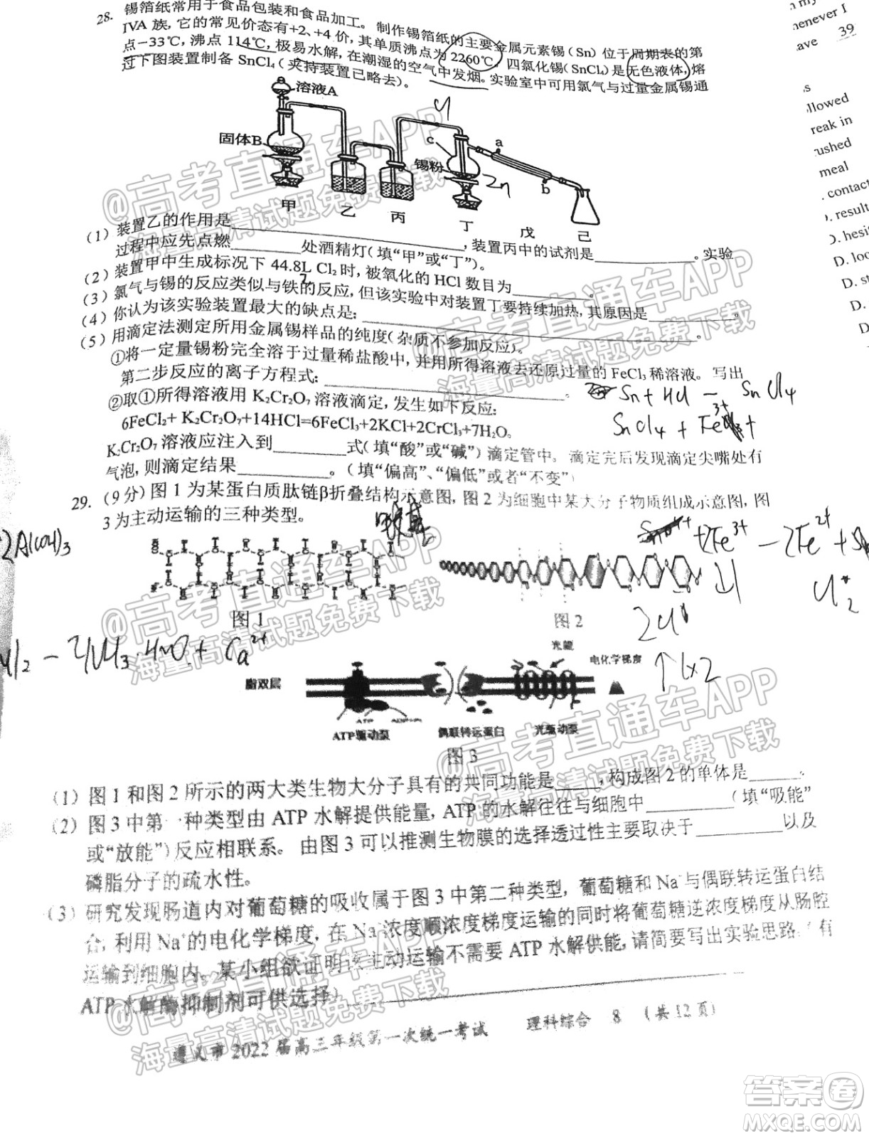 遵義市2022屆高三年級(jí)第一次統(tǒng)一考試?yán)砜凭C合試題及答案