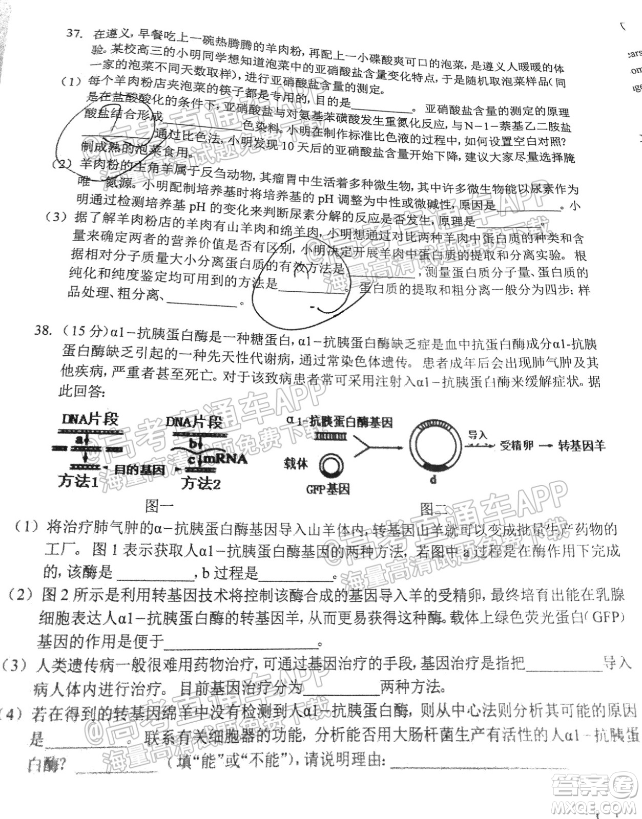 遵義市2022屆高三年級(jí)第一次統(tǒng)一考試?yán)砜凭C合試題及答案