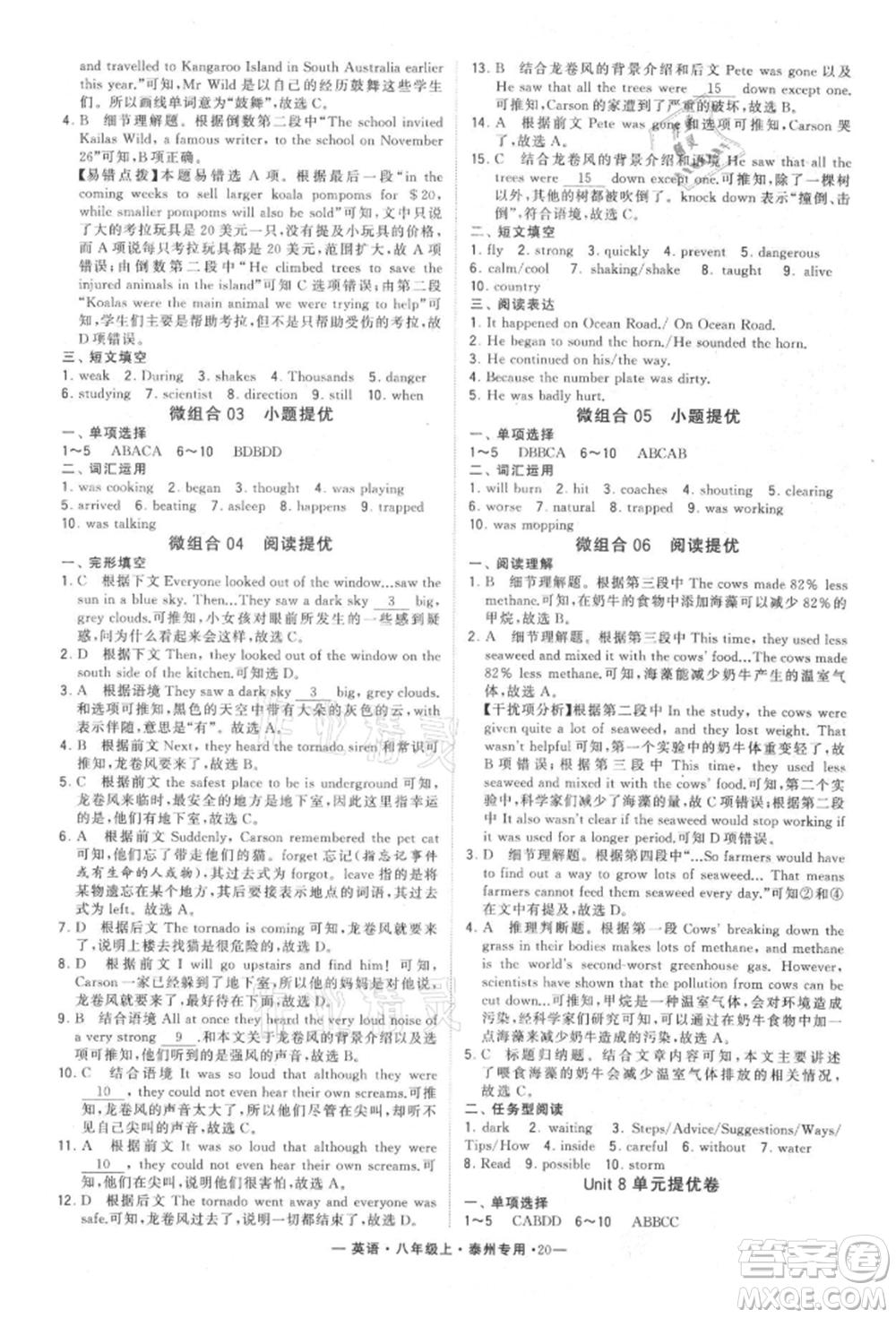 河海大學(xué)出版社2021經(jīng)綸學(xué)典學(xué)霸組合訓(xùn)練八年級(jí)上冊(cè)英語(yǔ)譯林版泰州專用參考答案