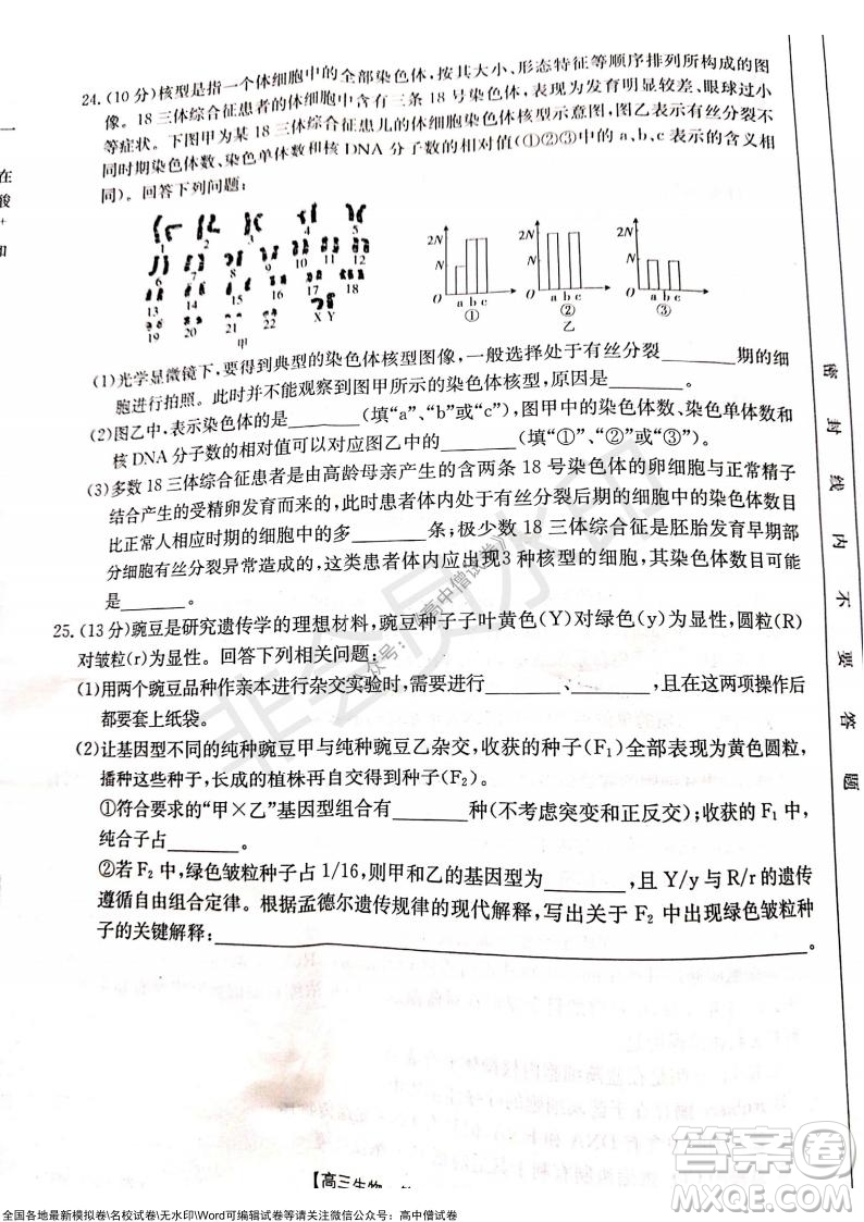 2022屆遼寧高三上學期協(xié)作校第一次考試生物試題及答案