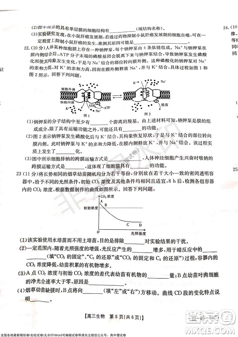 2022屆遼寧高三上學期協(xié)作校第一次考試生物試題及答案