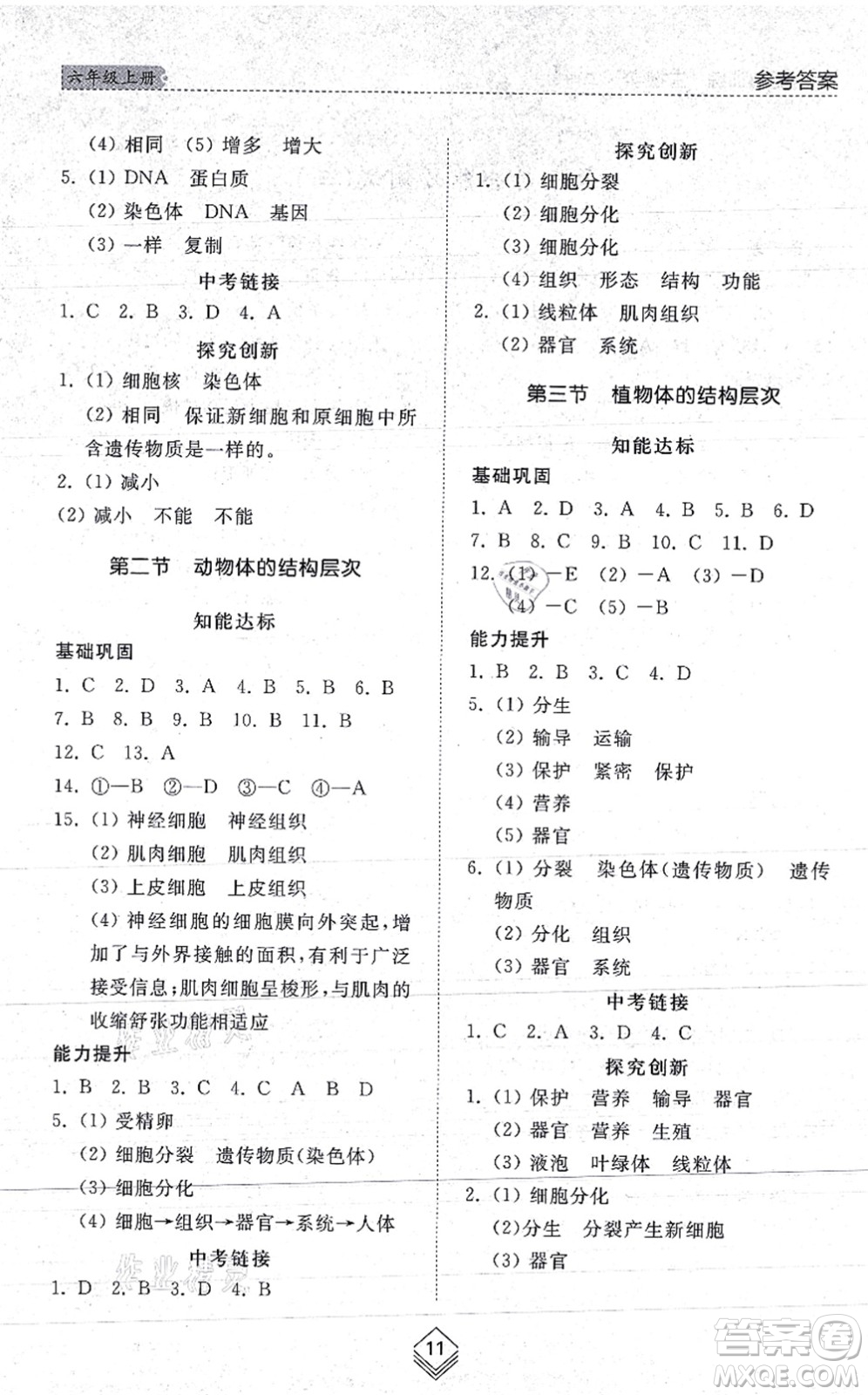 山東人民出版社2021綜合能力訓(xùn)練六年級(jí)生物上冊(cè)五四制魯科版答案