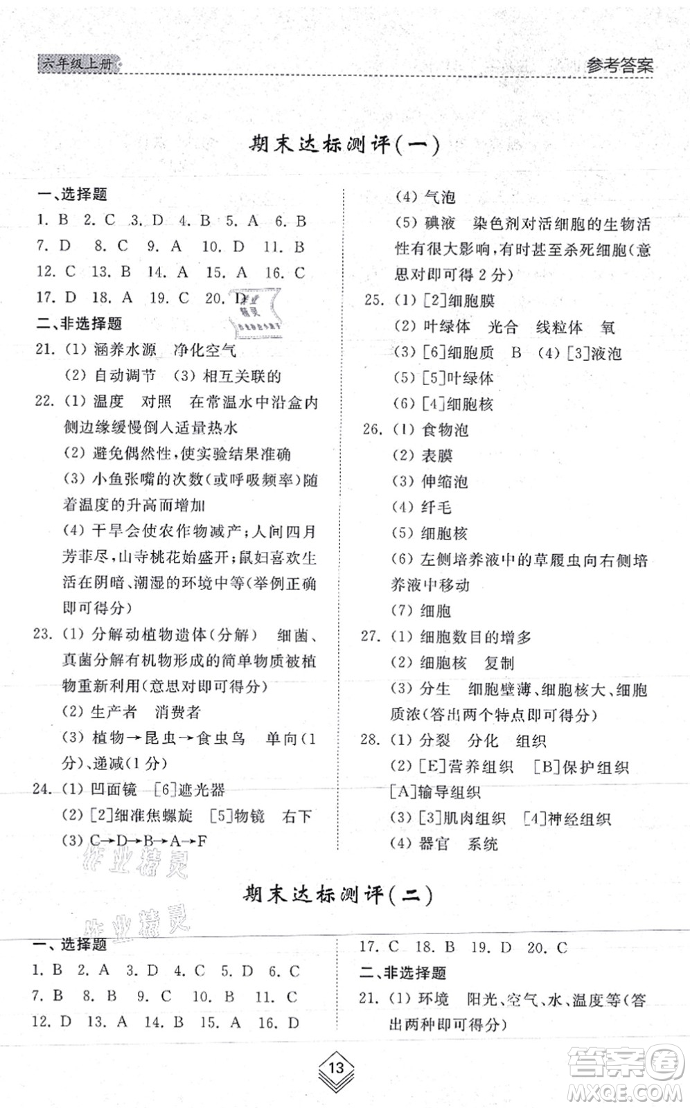 山東人民出版社2021綜合能力訓(xùn)練六年級(jí)生物上冊(cè)五四制魯科版答案