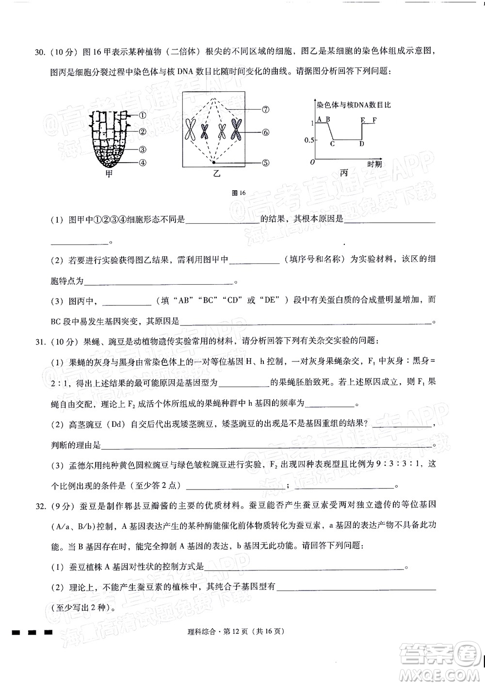 2022屆貴陽一中高考適應性月考二理科綜合試題及答案
