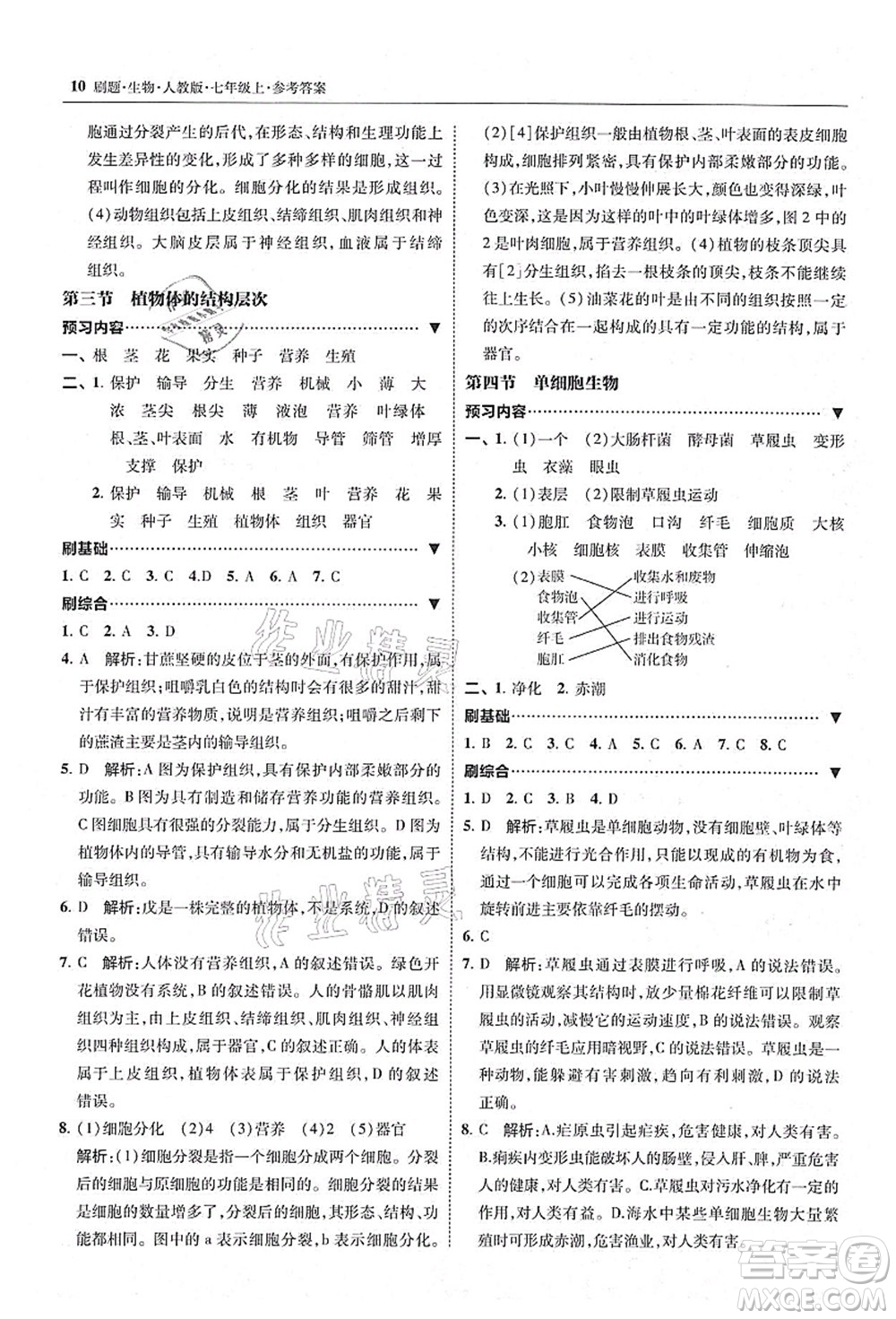 東北師范大學(xué)出版社2021北大綠卡刷題七年級生物上冊人教版答案
