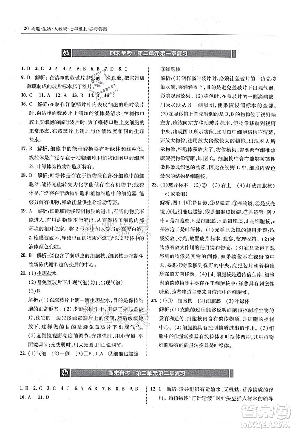 東北師范大學(xué)出版社2021北大綠卡刷題七年級生物上冊人教版答案