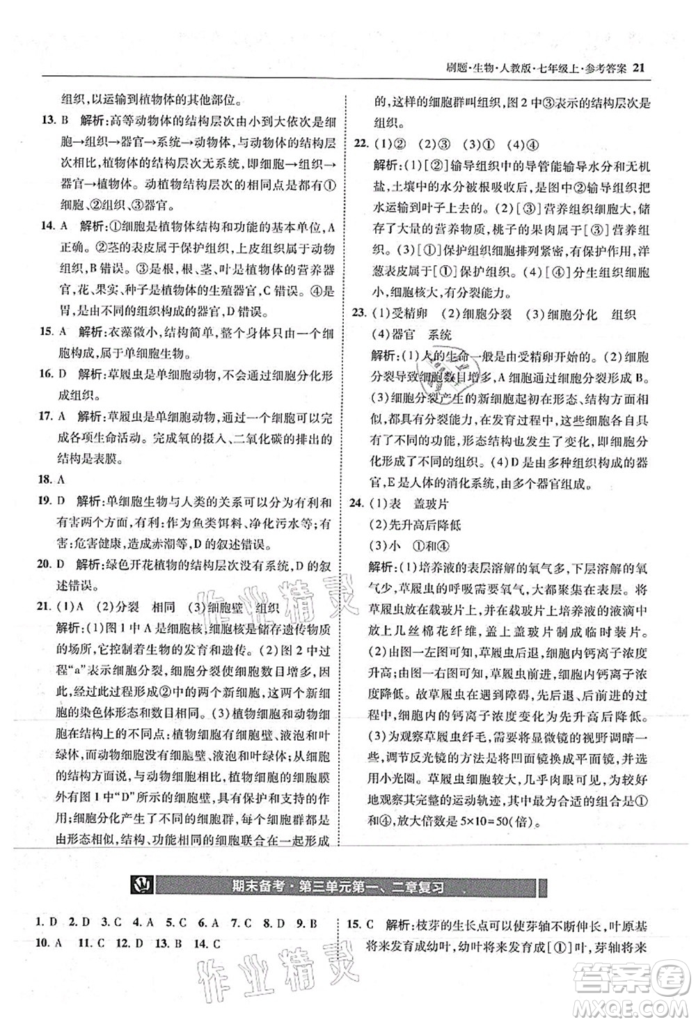 東北師范大學(xué)出版社2021北大綠卡刷題七年級生物上冊人教版答案