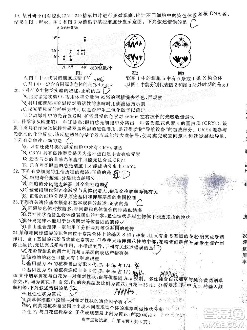 信陽2021-2022學年普通高中高三第一次教學質量檢測生物試題及答案