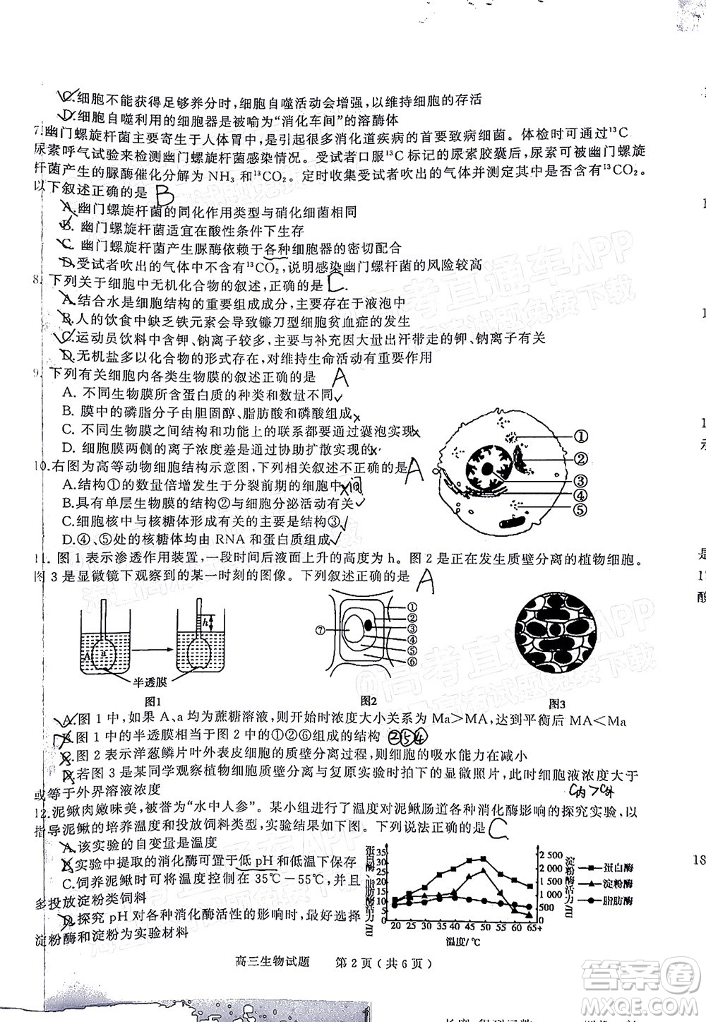 信陽2021-2022學年普通高中高三第一次教學質量檢測生物試題及答案