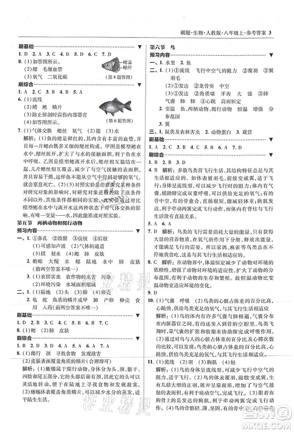 東北師范大學(xué)出版社2021北大綠卡刷題八年級生物上冊人教版答案