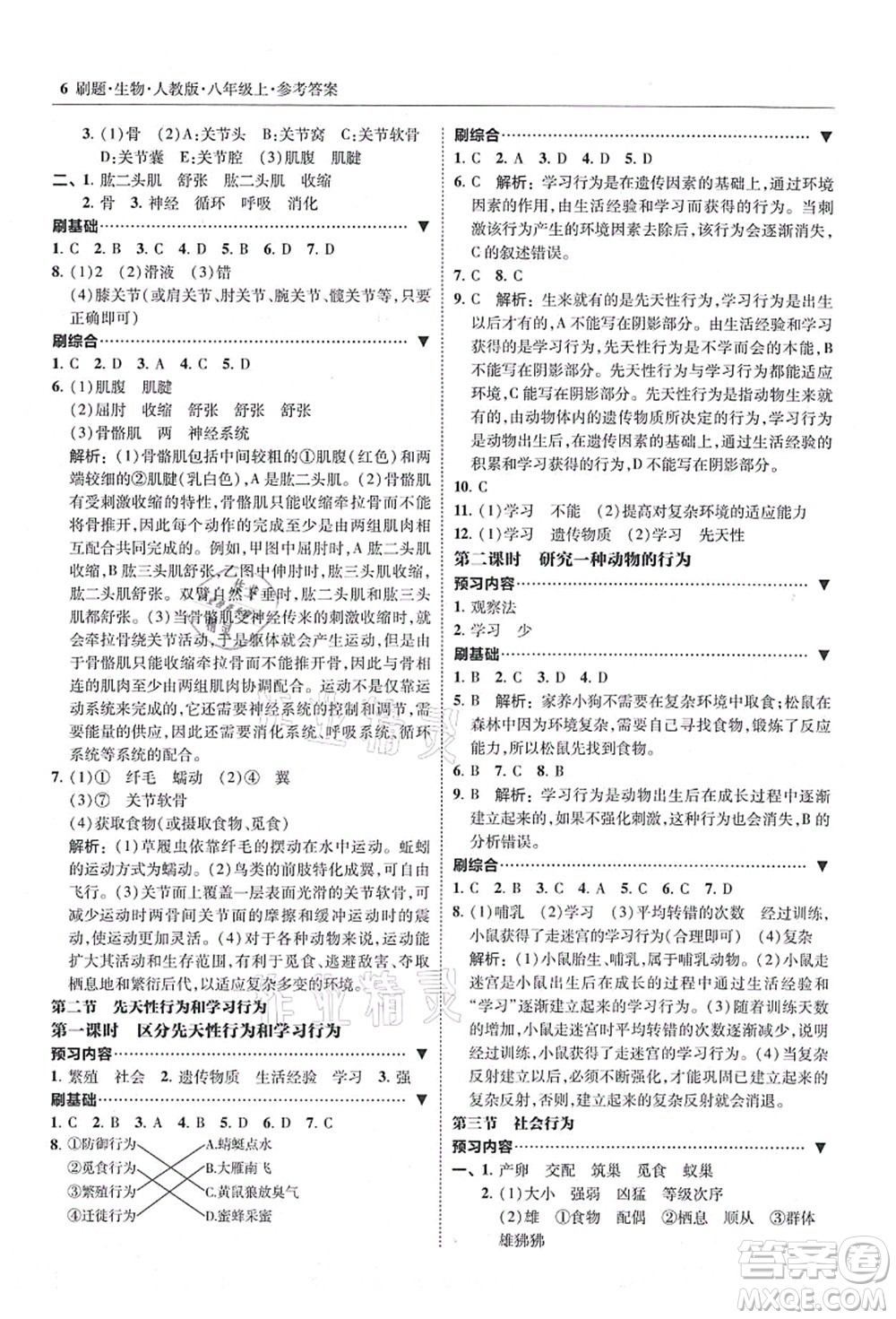 東北師范大學(xué)出版社2021北大綠卡刷題八年級生物上冊人教版答案
