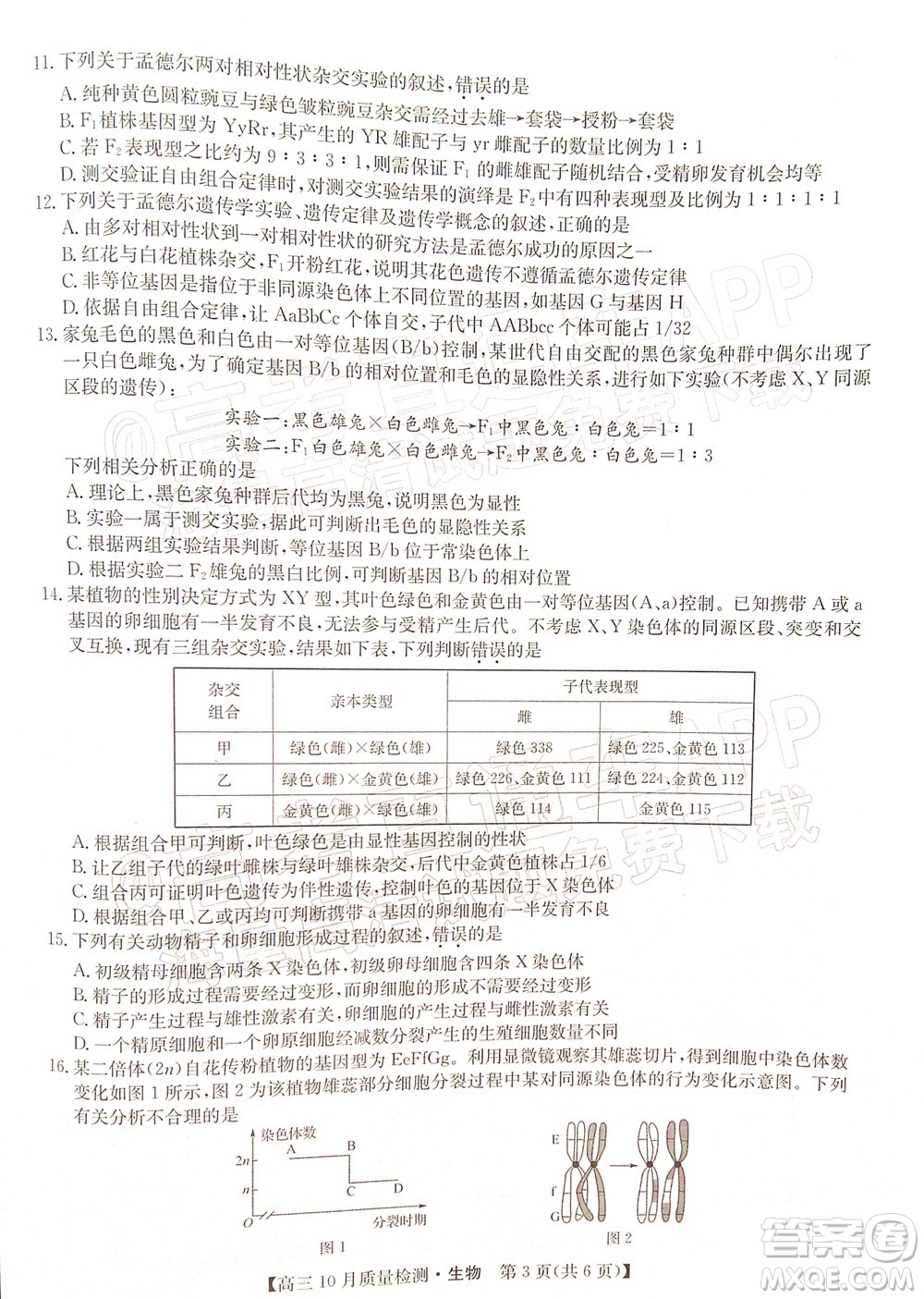 2022屆九師聯(lián)盟高三10月質(zhì)量檢測(cè)生物試題及答案