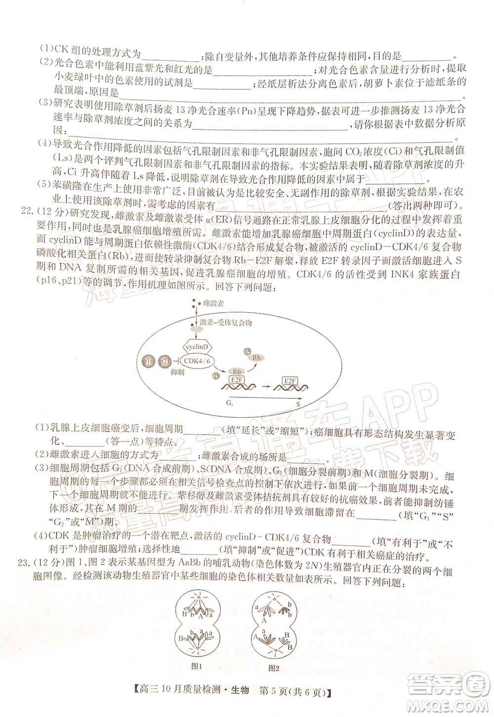 2022屆九師聯(lián)盟高三10月質(zhì)量檢測(cè)生物試題及答案