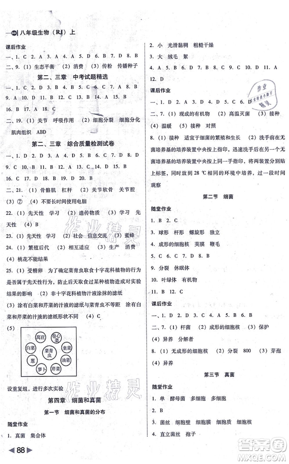 吉林教育出版社2021勝券在握打好基礎(chǔ)作業(yè)本八年級(jí)生物上冊(cè)RJ人教版答案