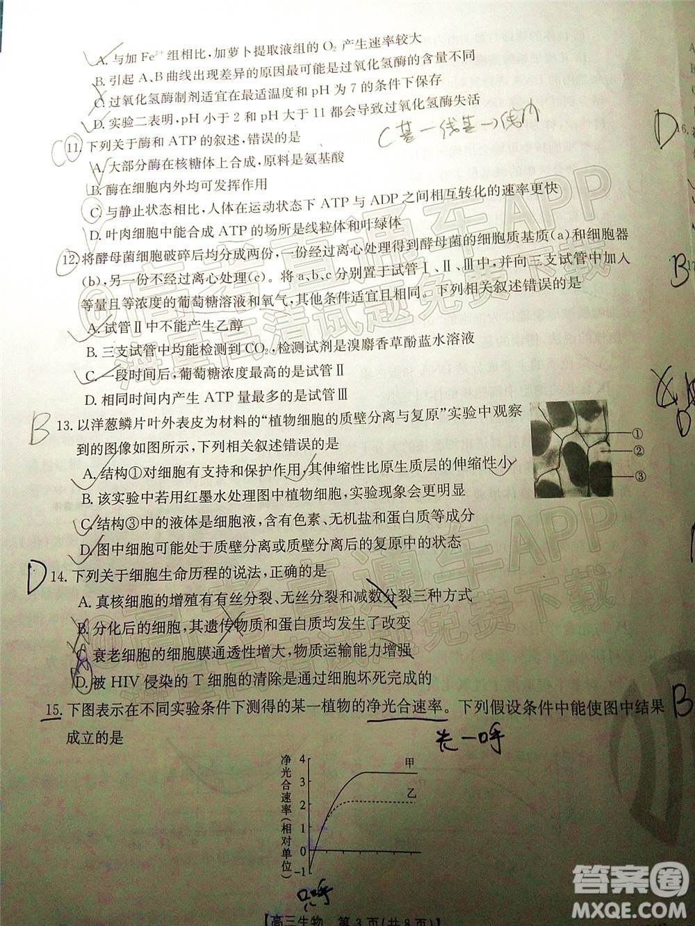 2022屆內(nèi)蒙古金太陽高三10月聯(lián)考生物試題及答案