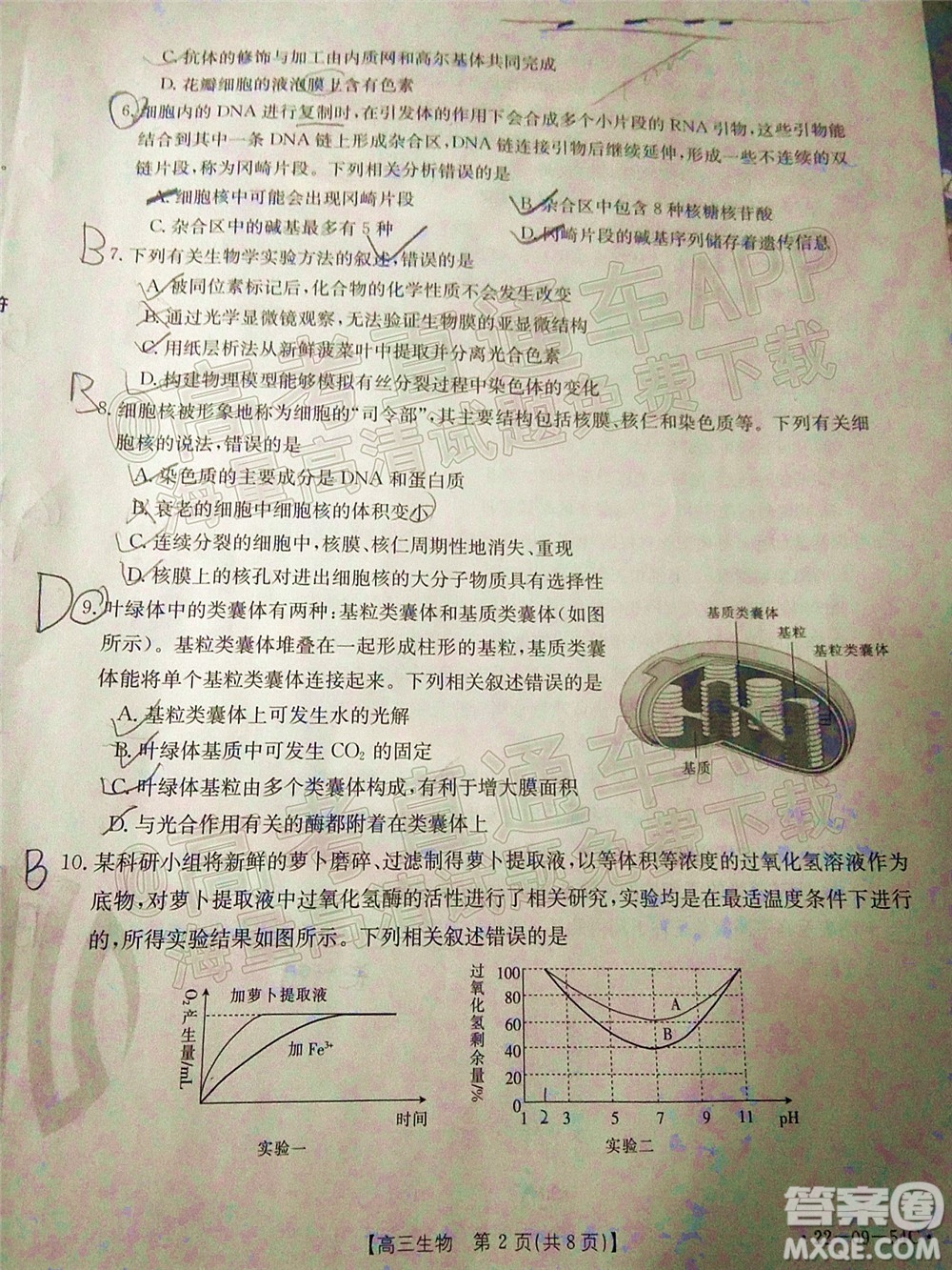 2022屆內(nèi)蒙古金太陽高三10月聯(lián)考生物試題及答案
